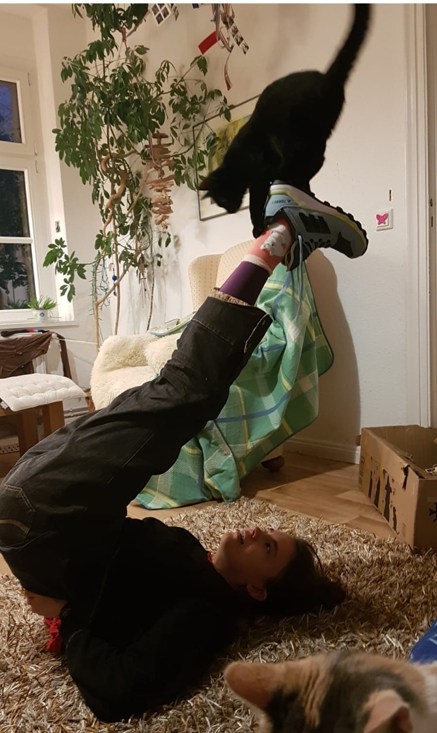 image-9