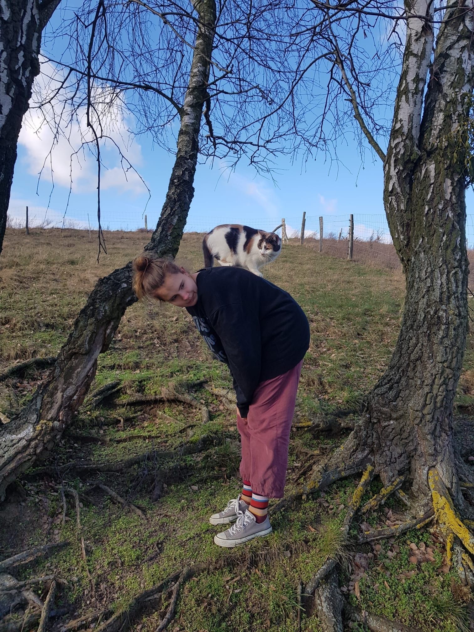 image-5