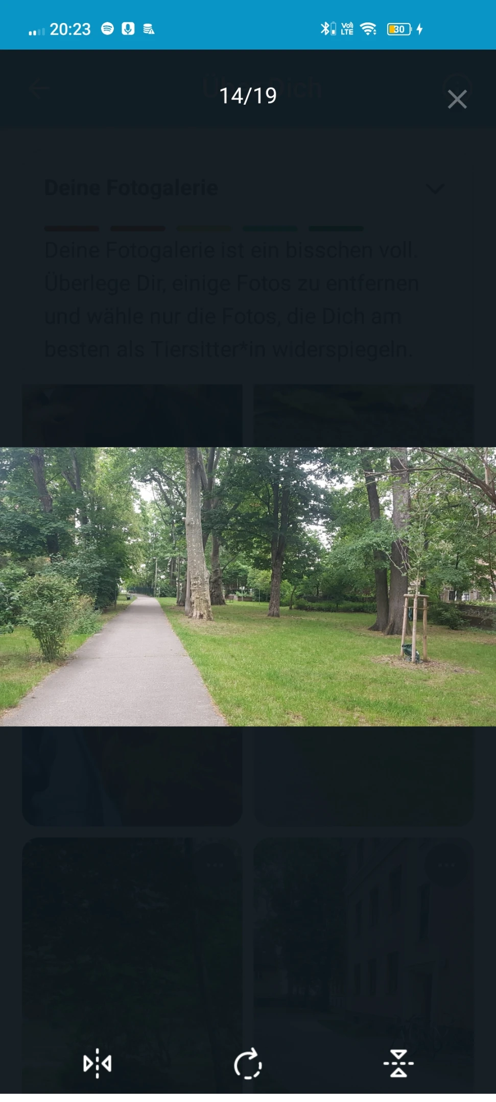 image-17
