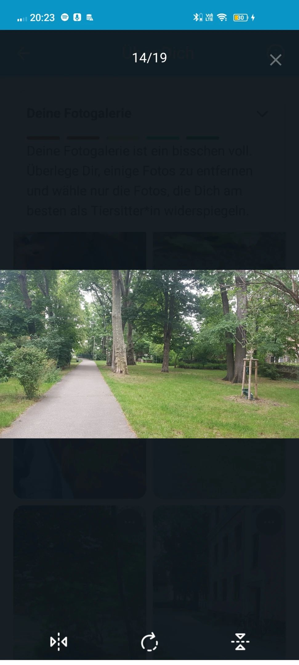 image-17
