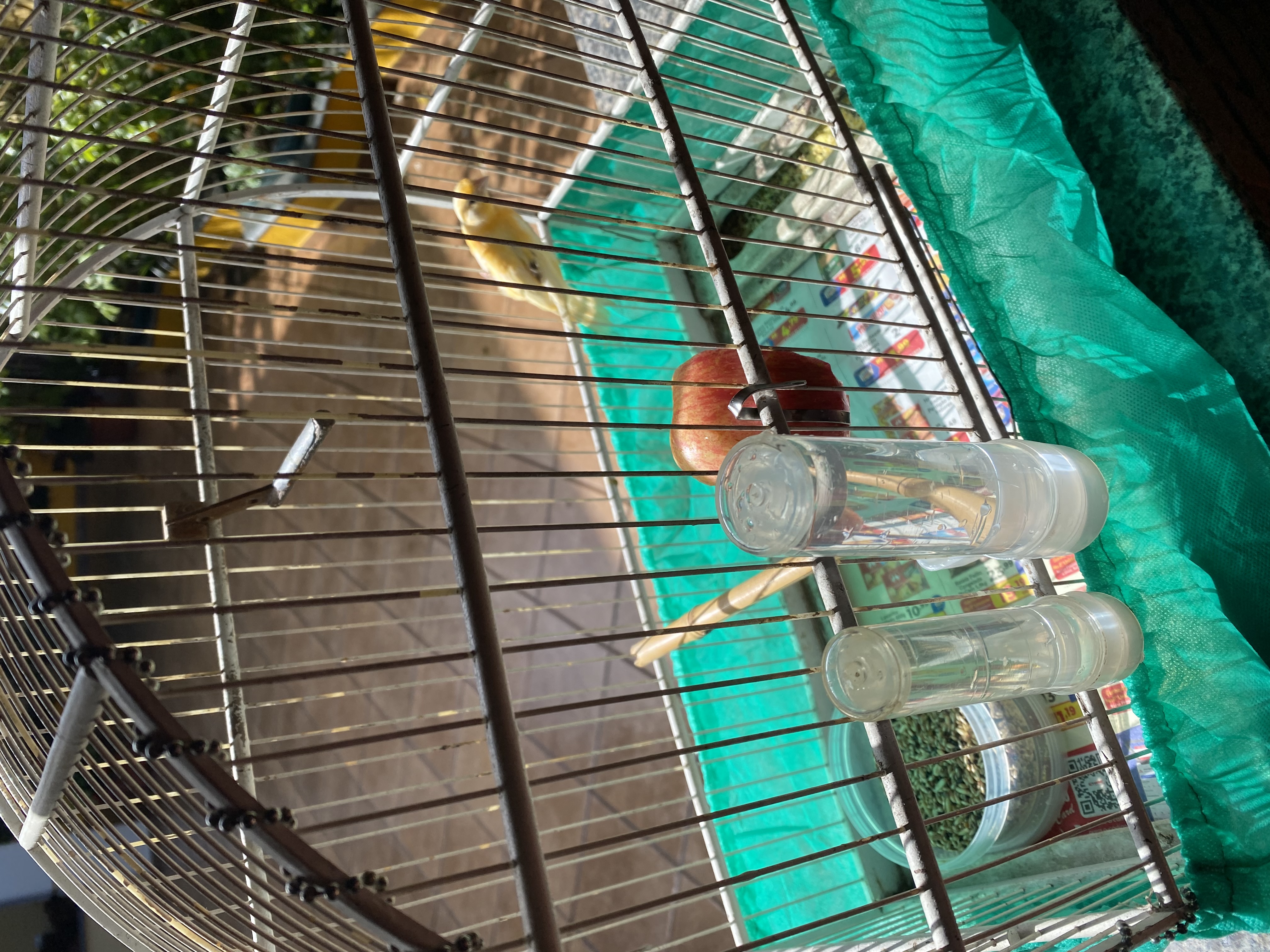 image-12
