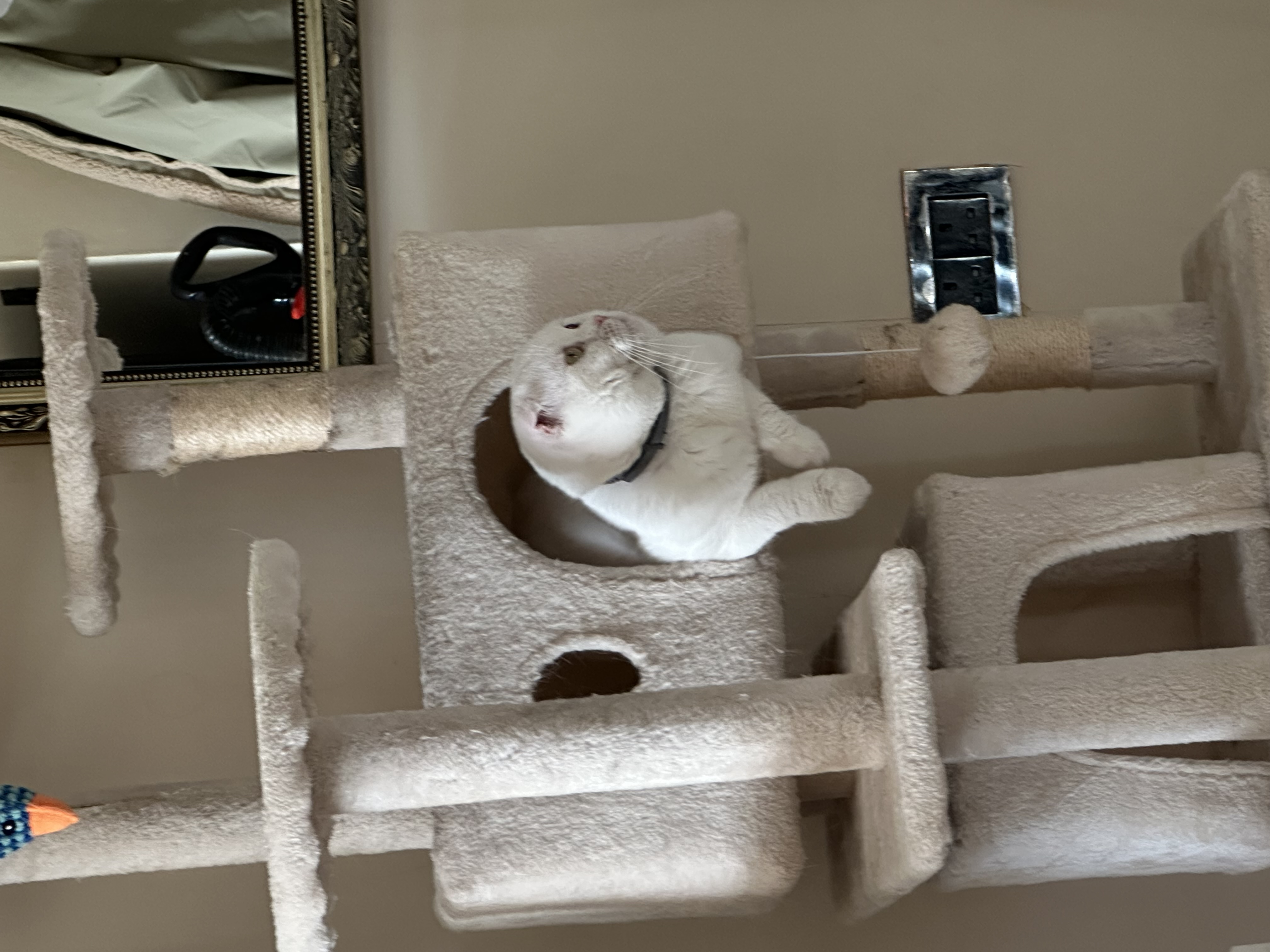 image-8