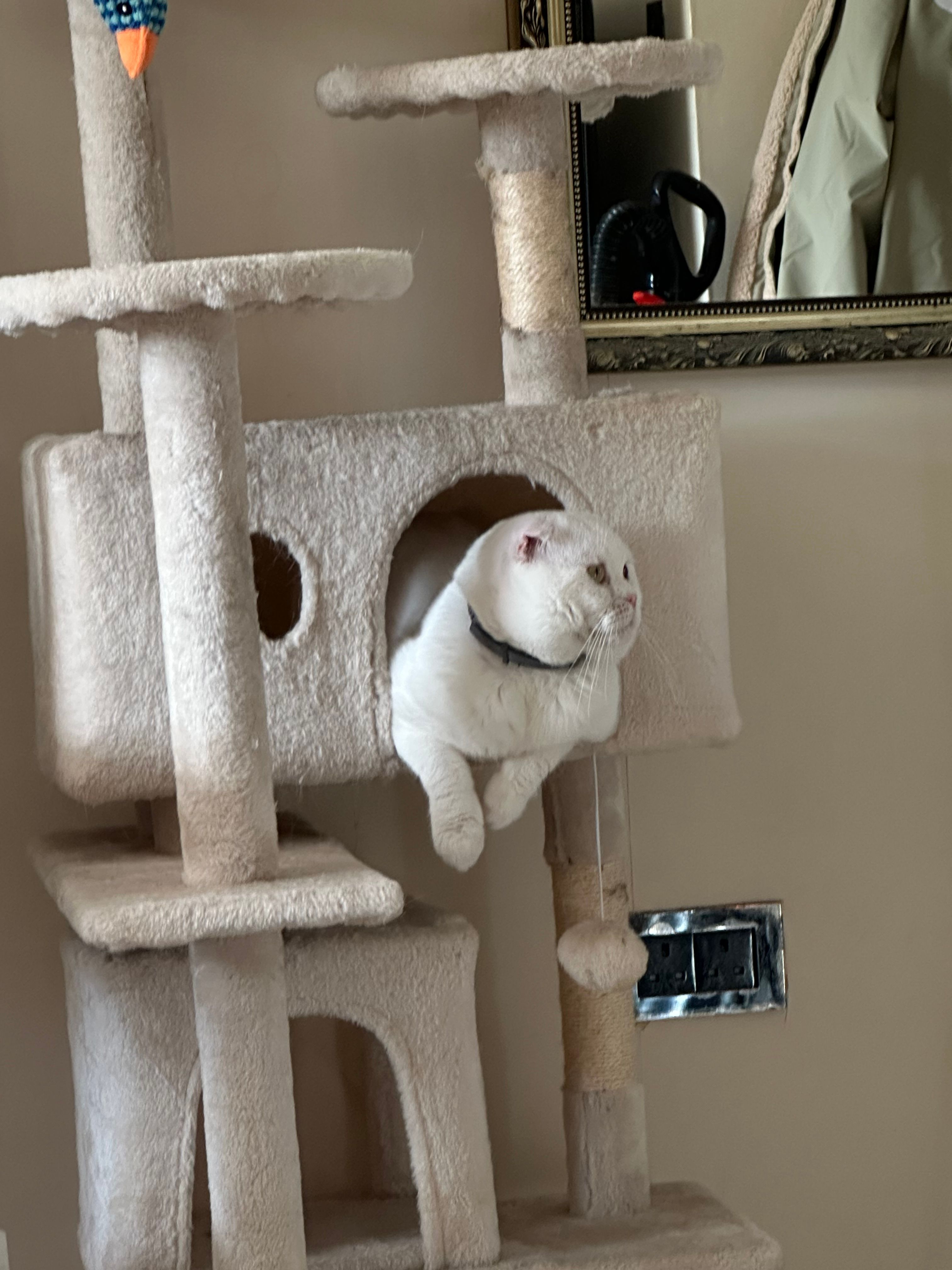 image-8