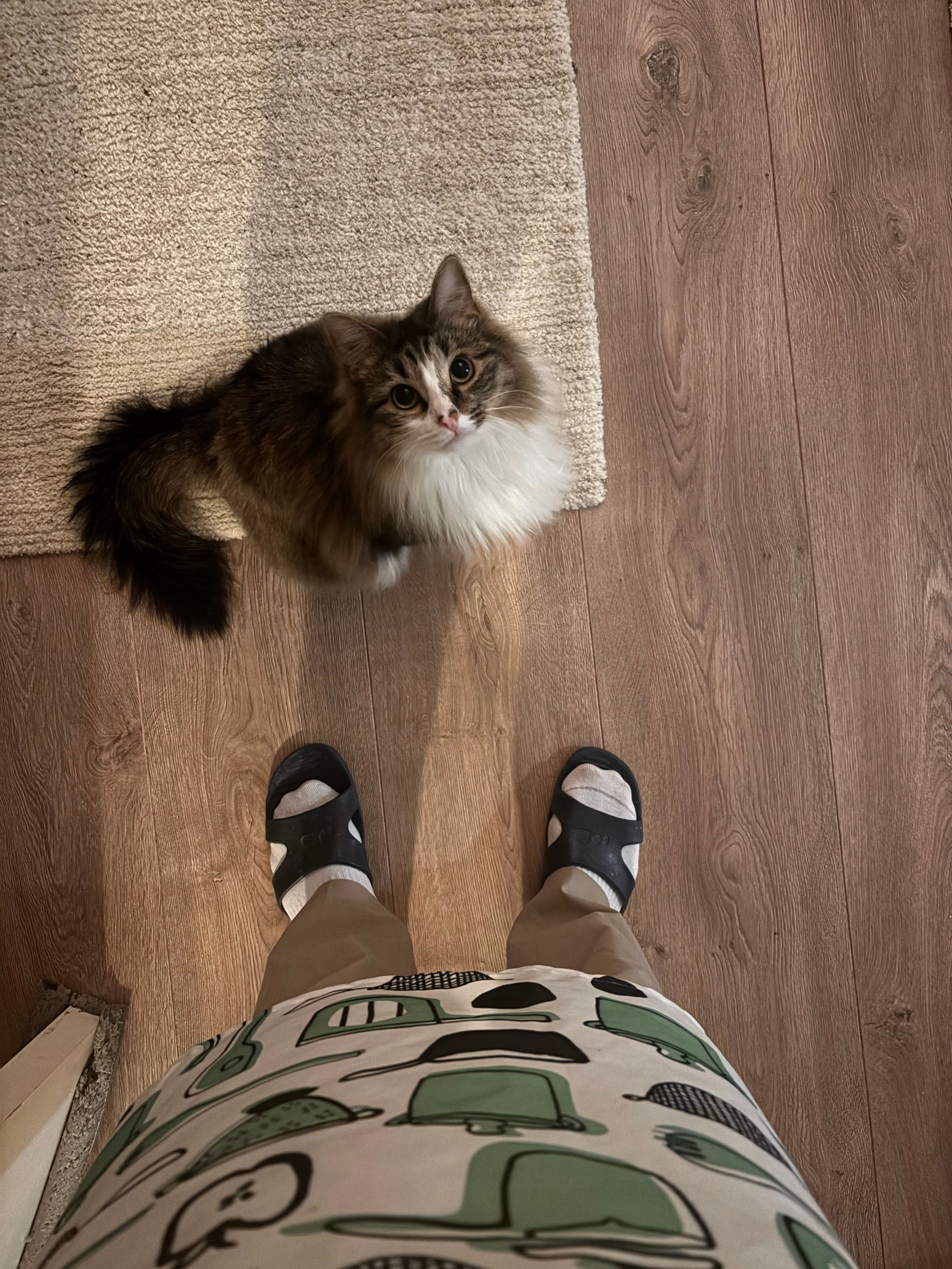 image-8