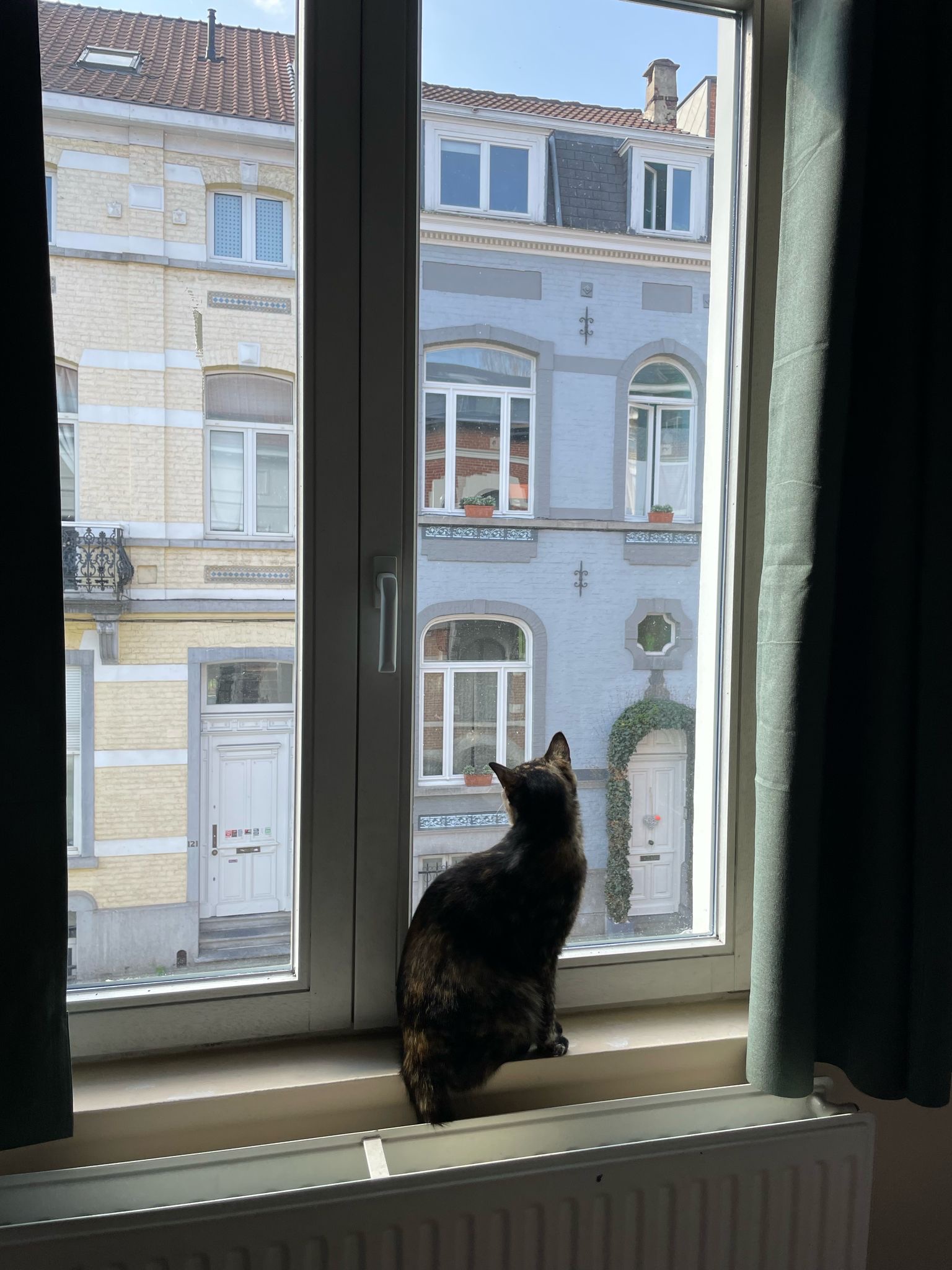 image-7