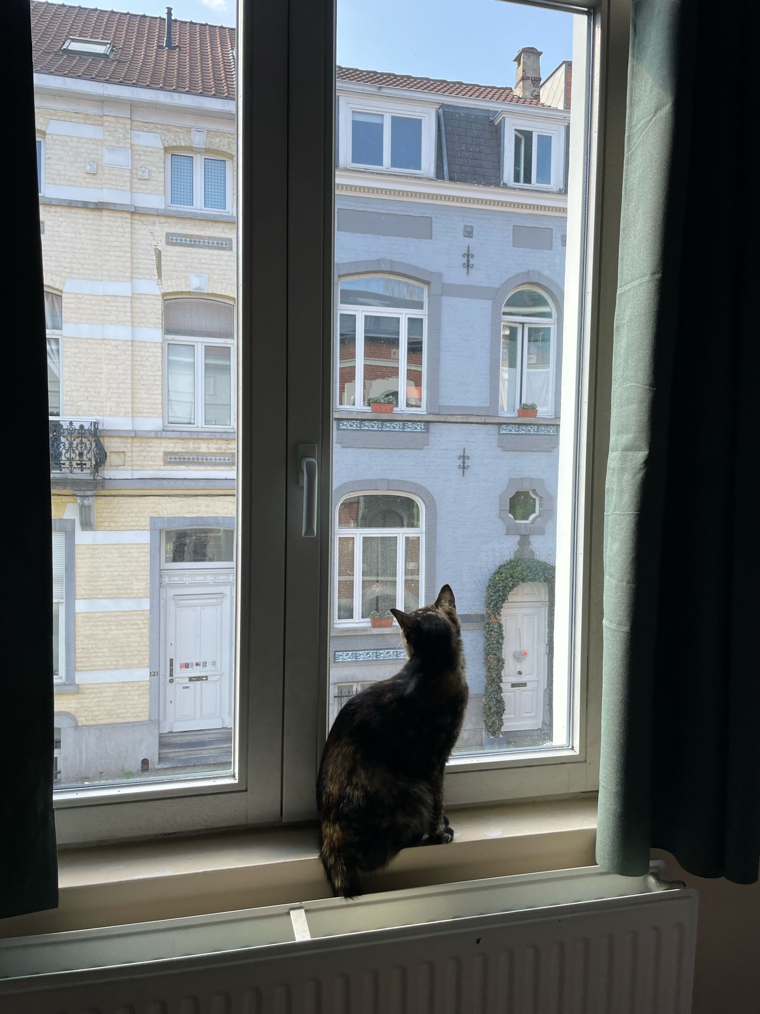 image-7