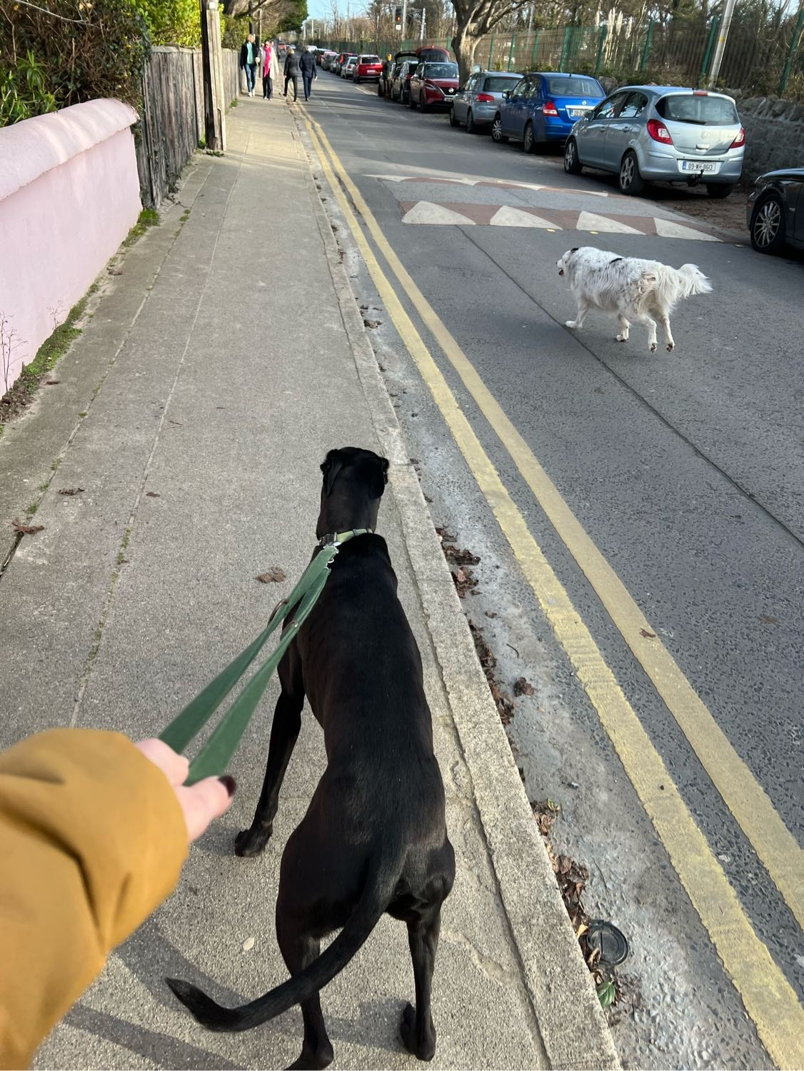 image-15