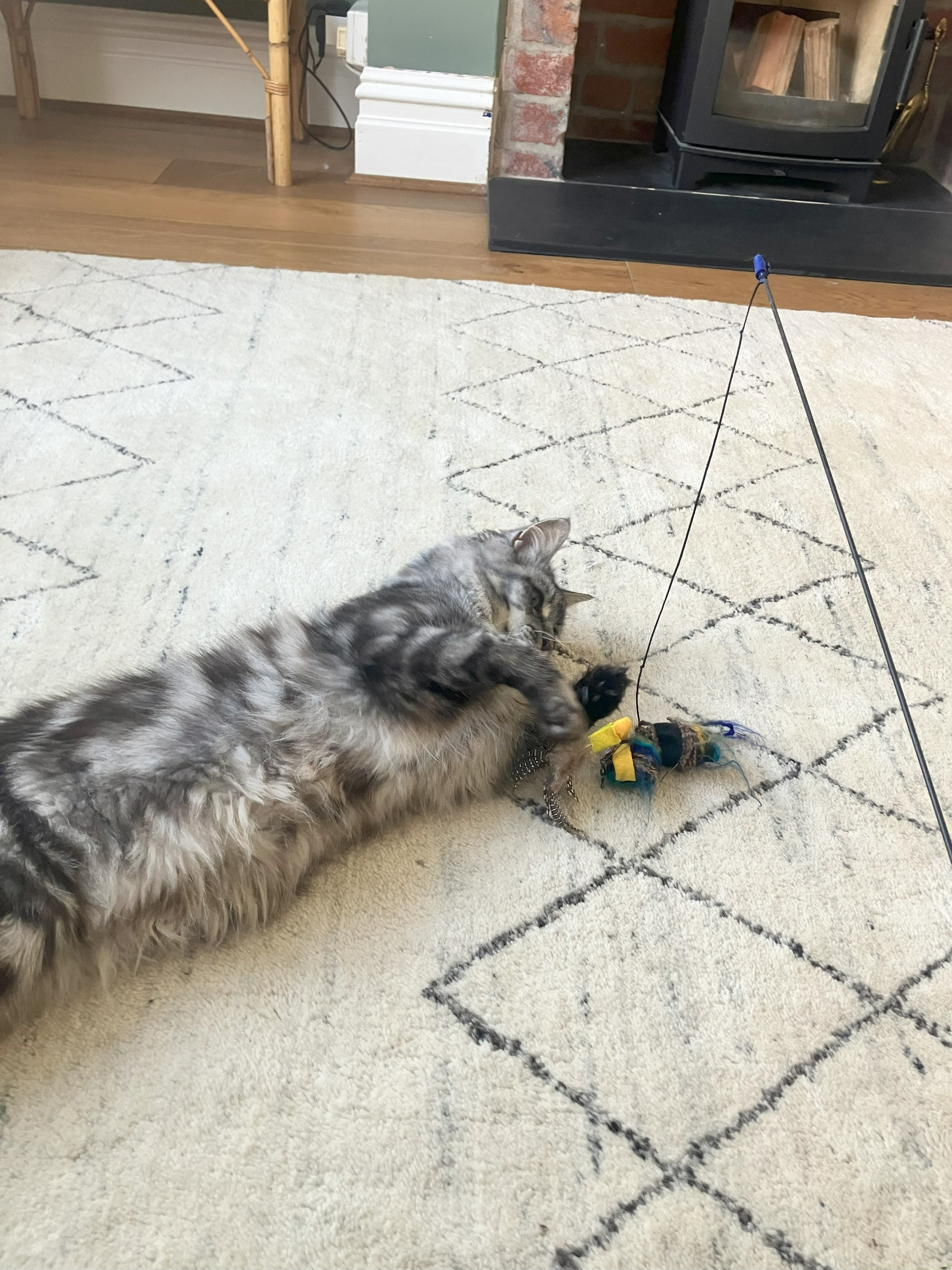 image-9