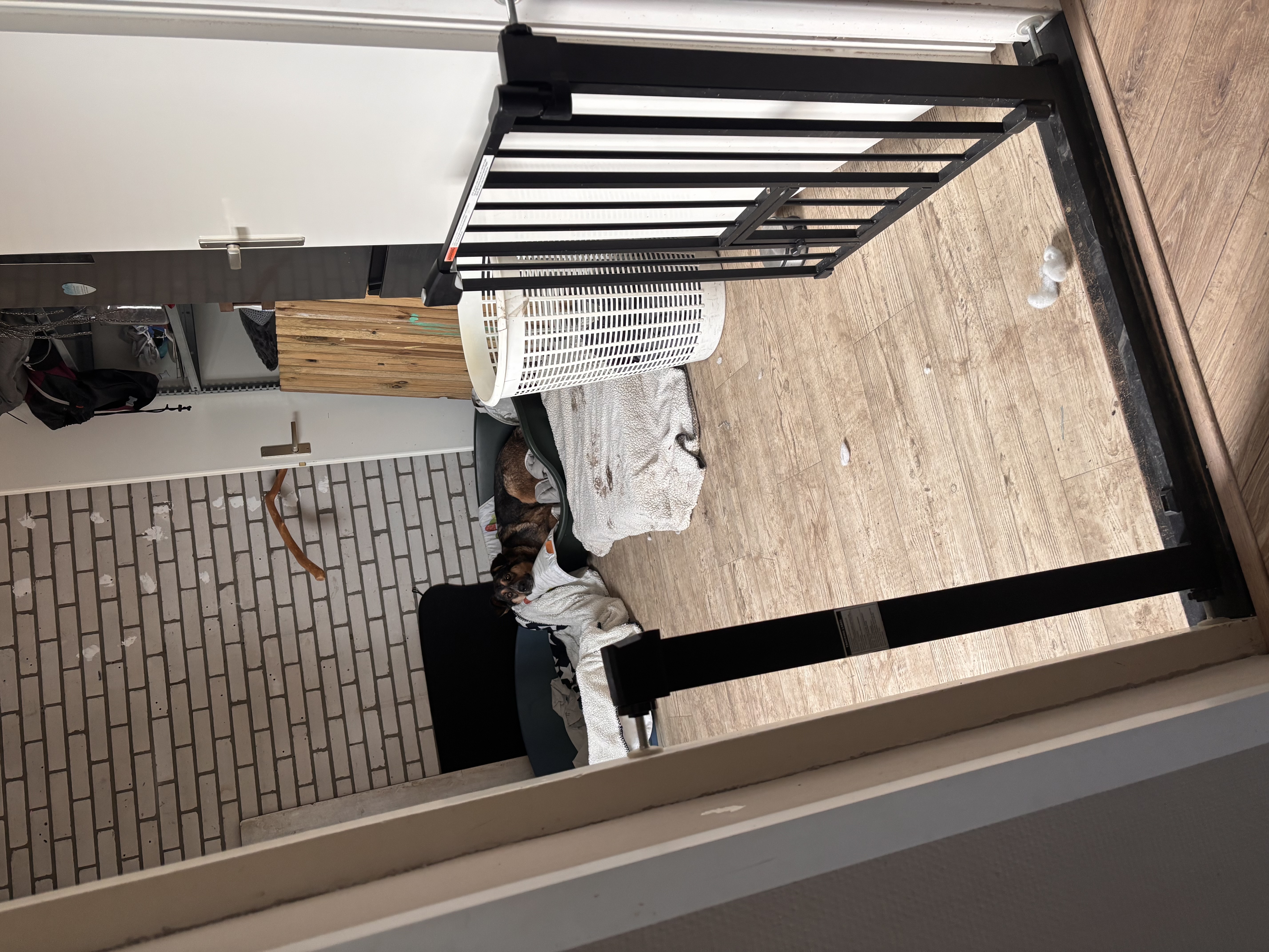 image-16