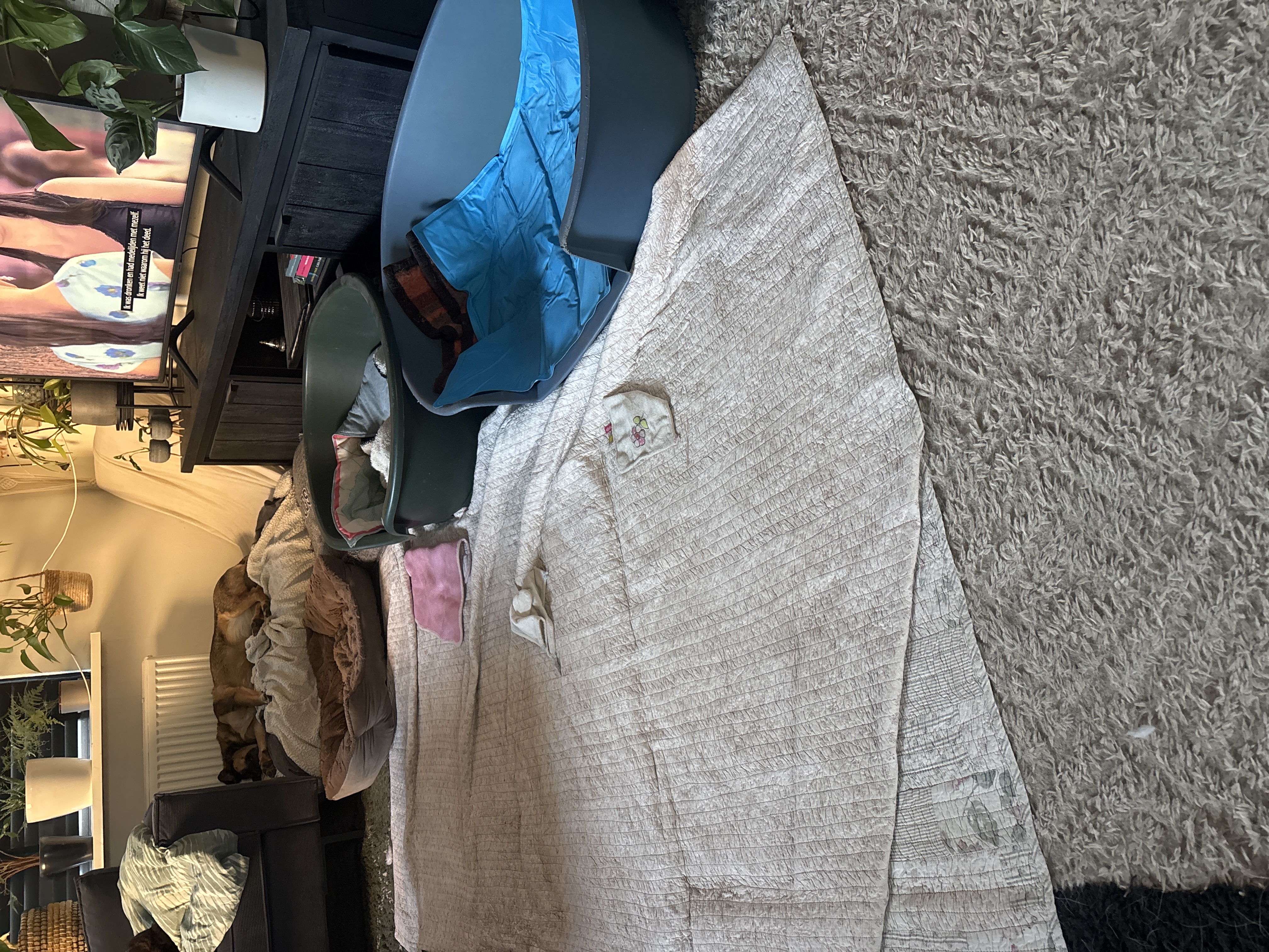 image-18