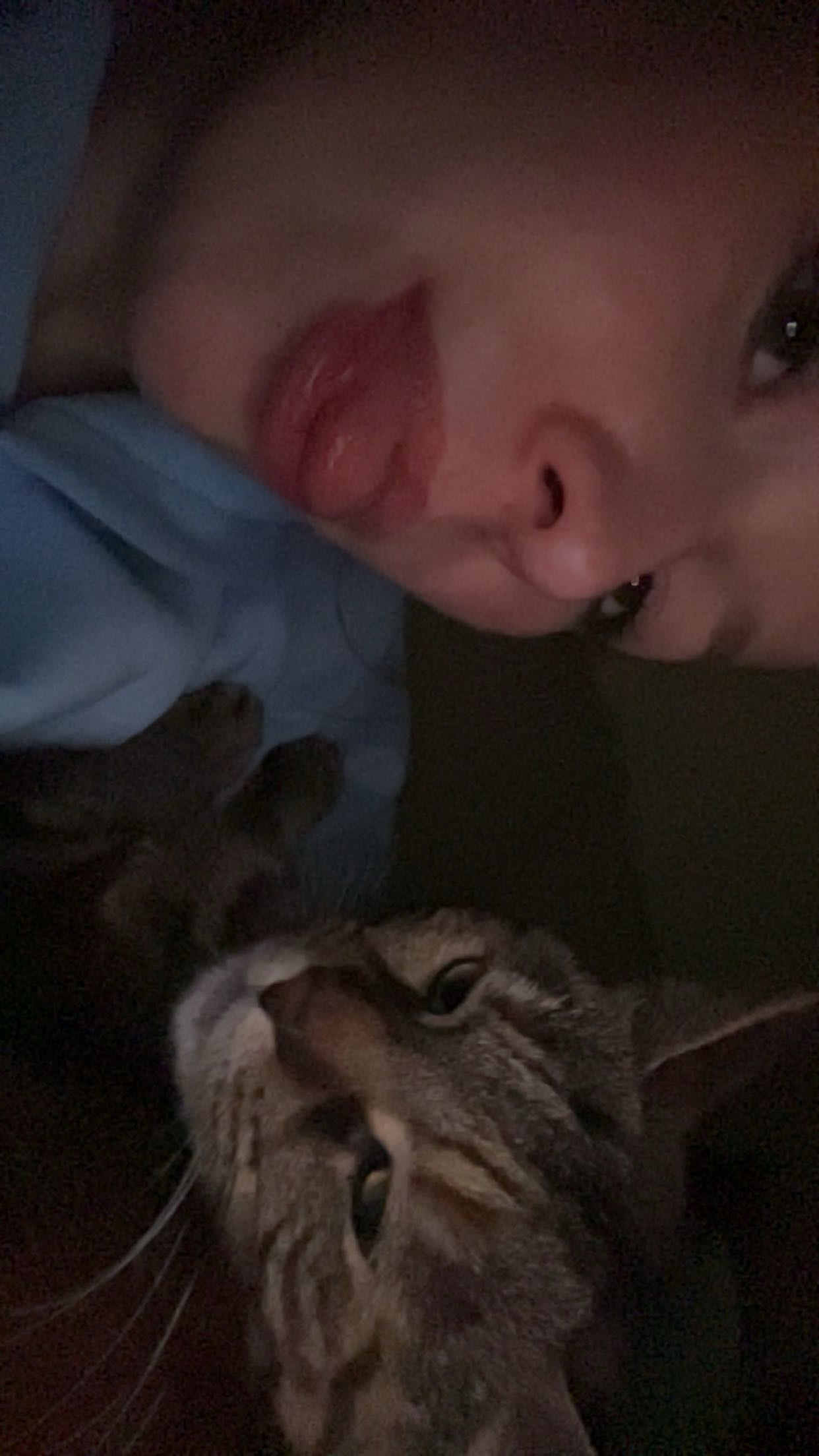 image-8