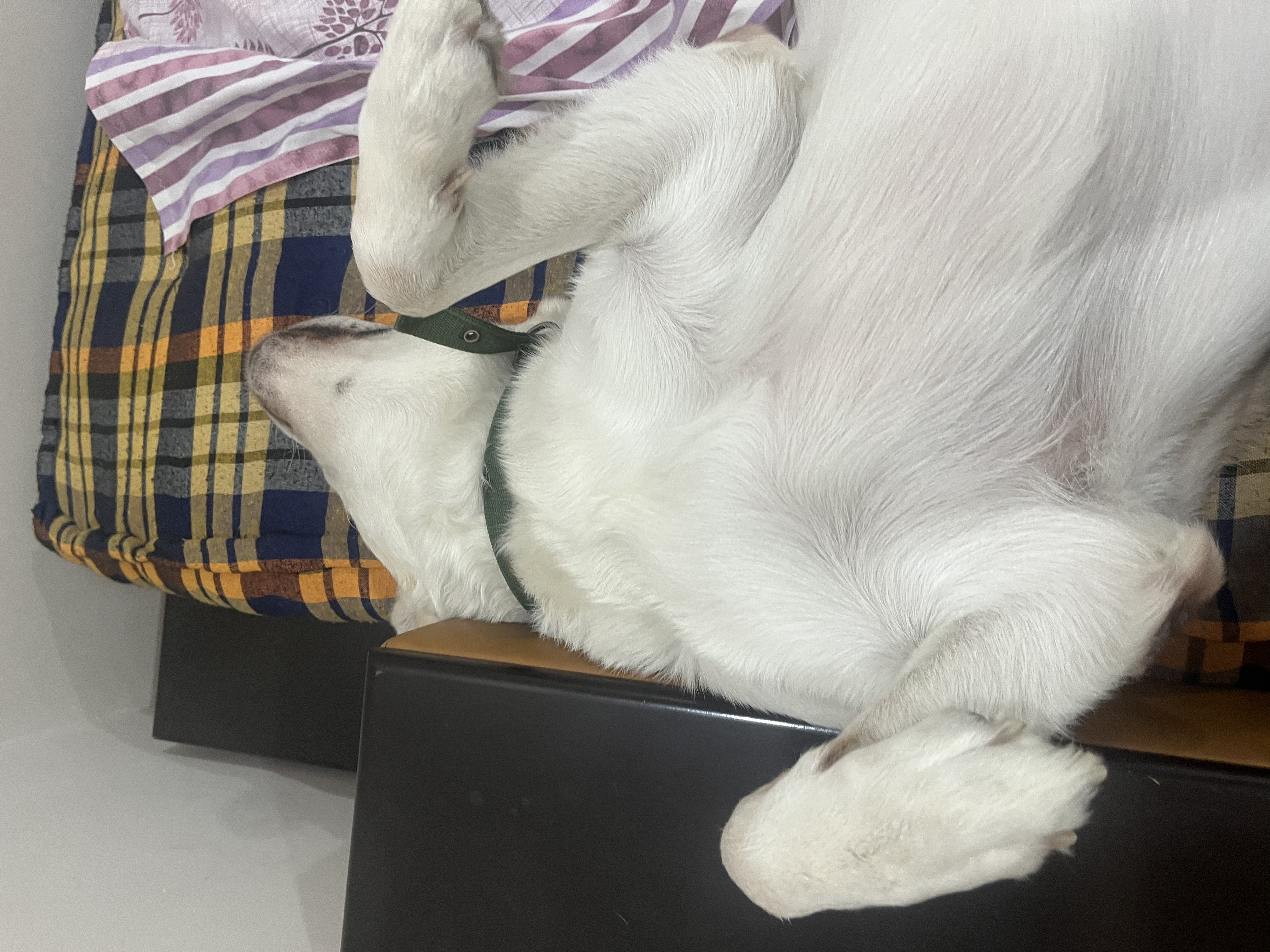 image-6