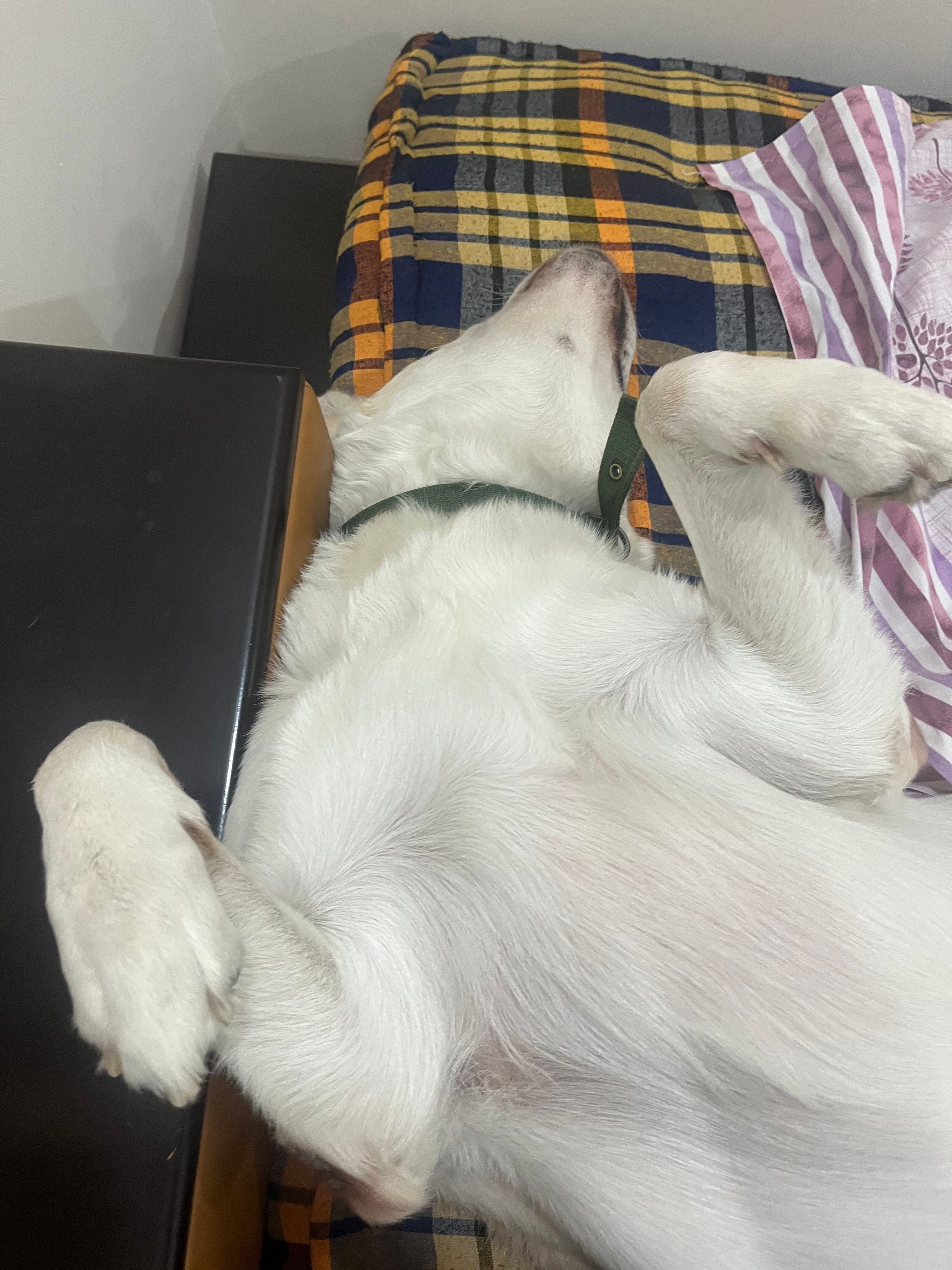 image-6