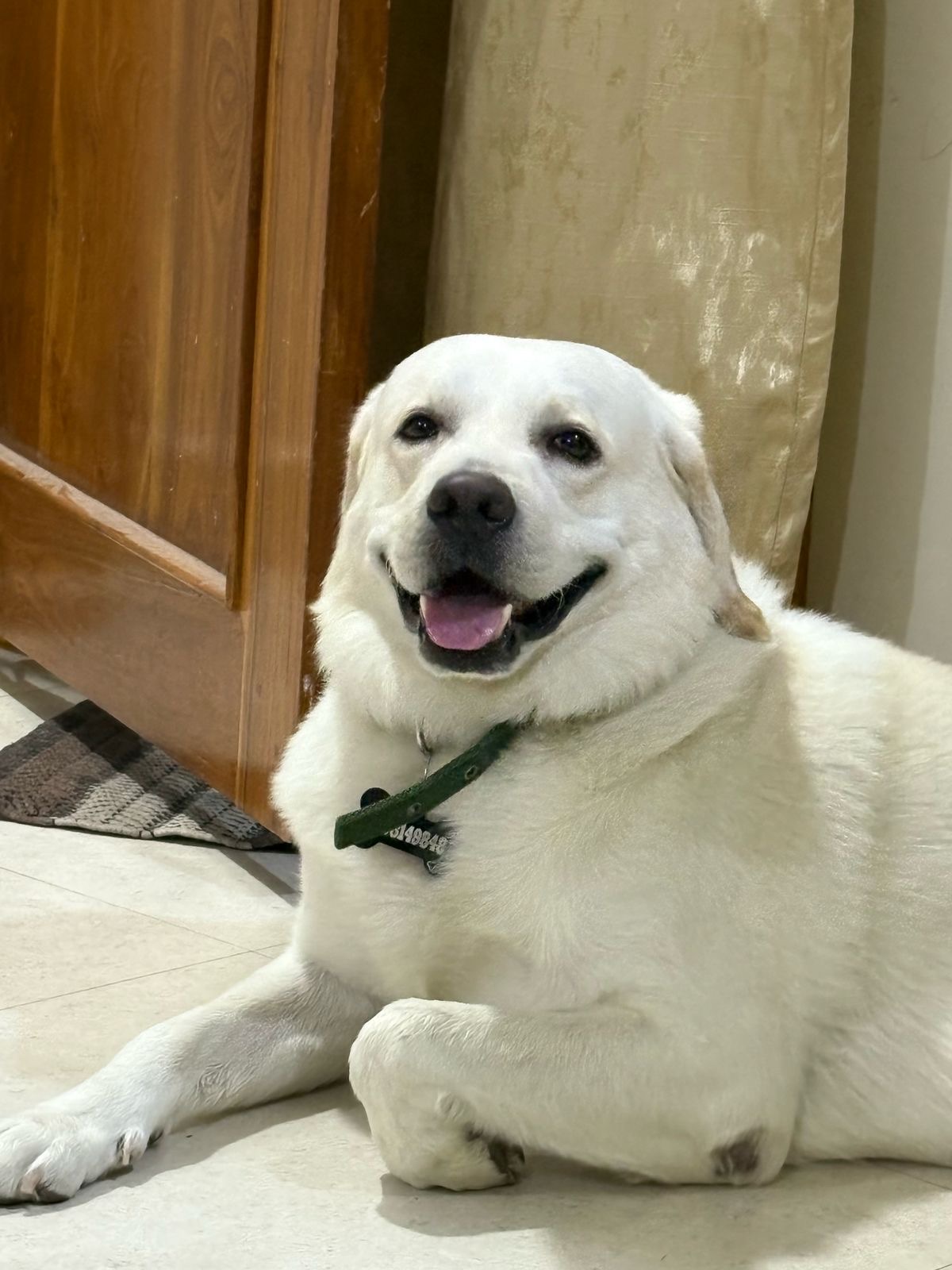 image-10