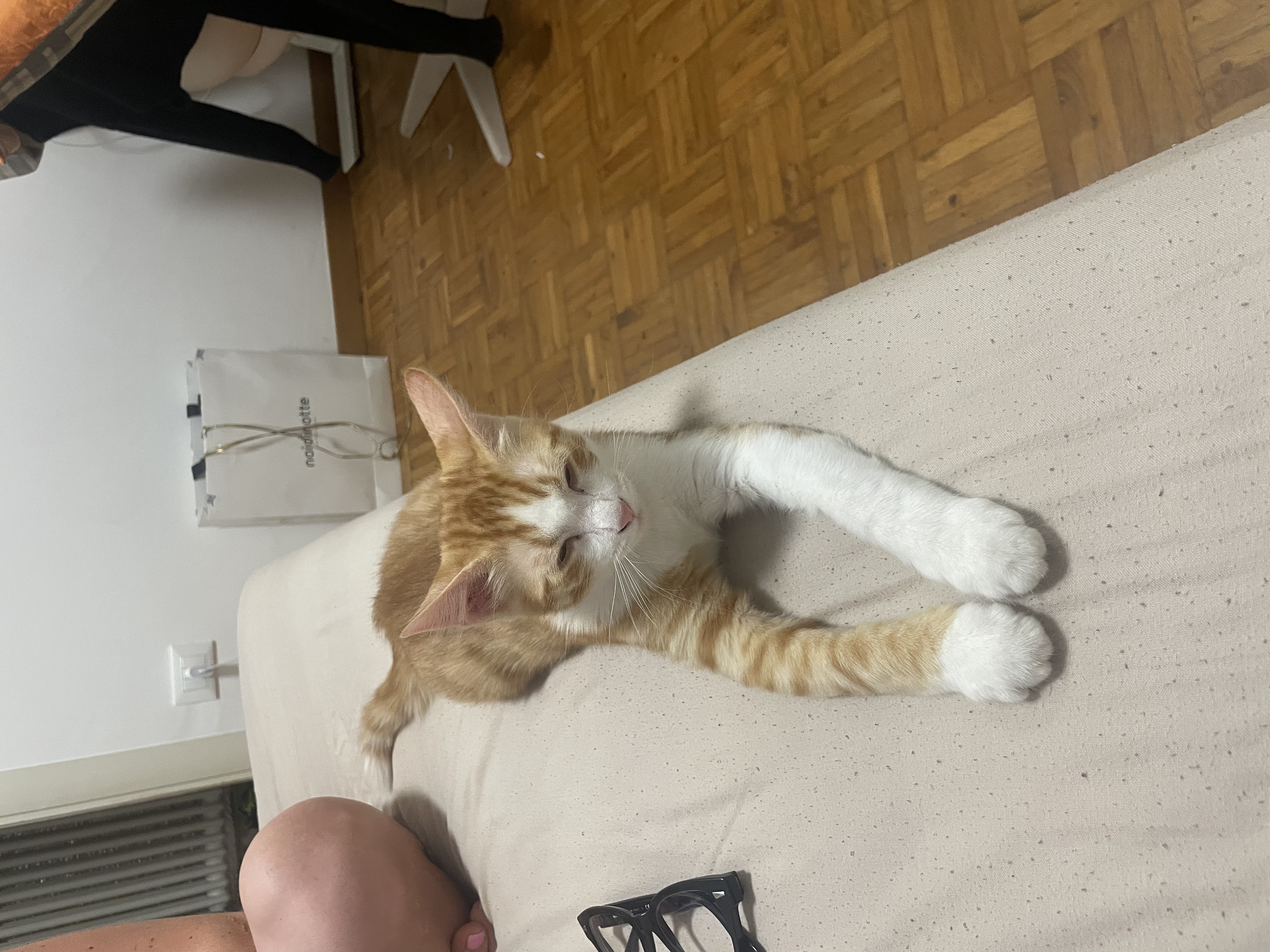 image-10