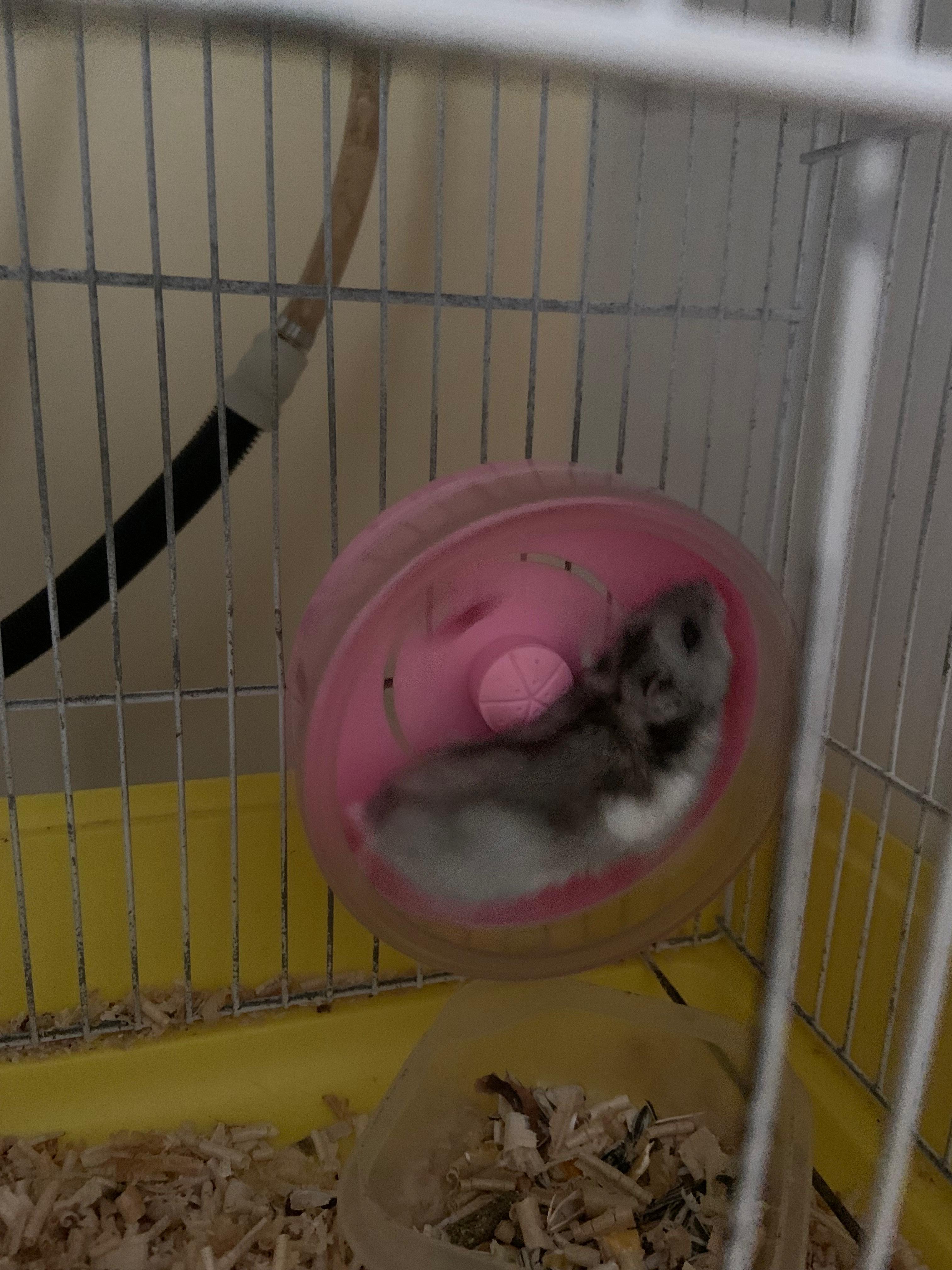image-17
