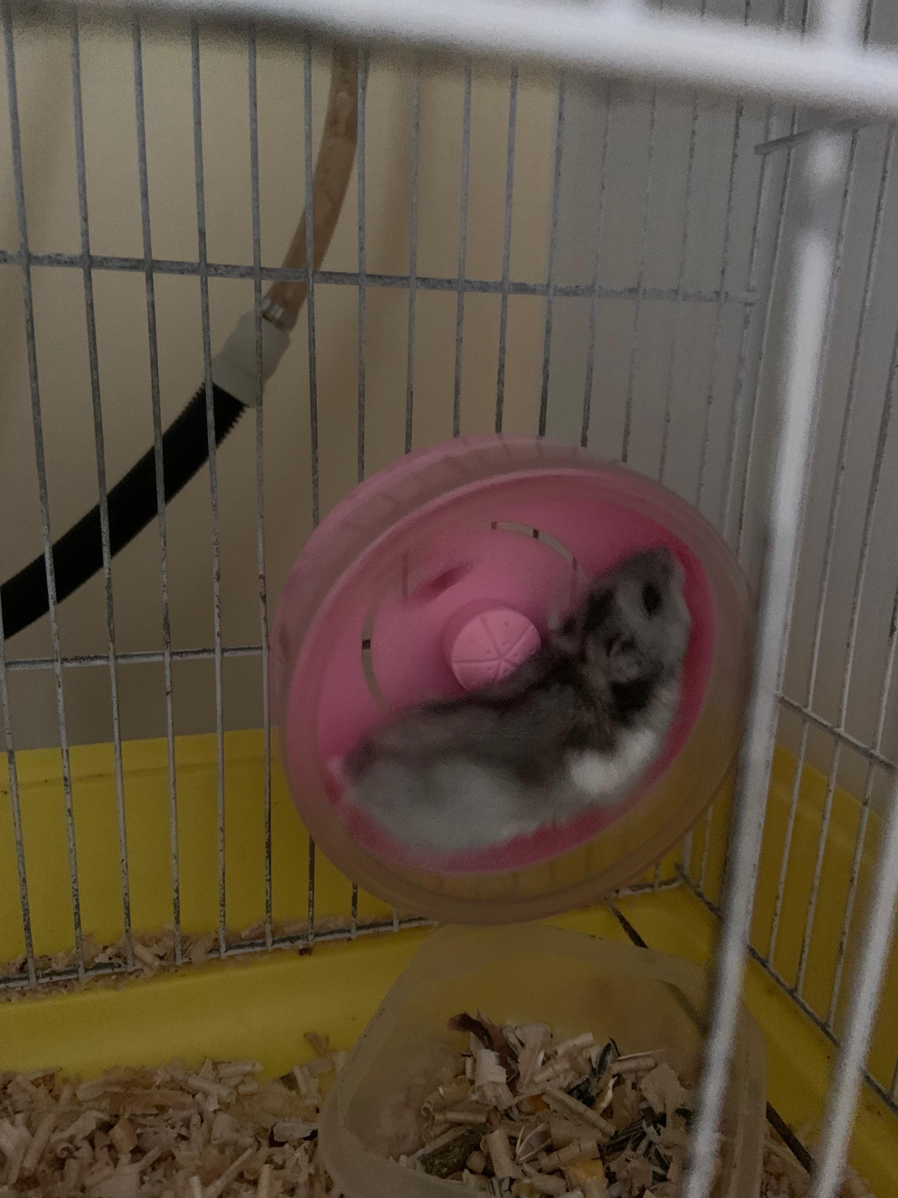 image-17