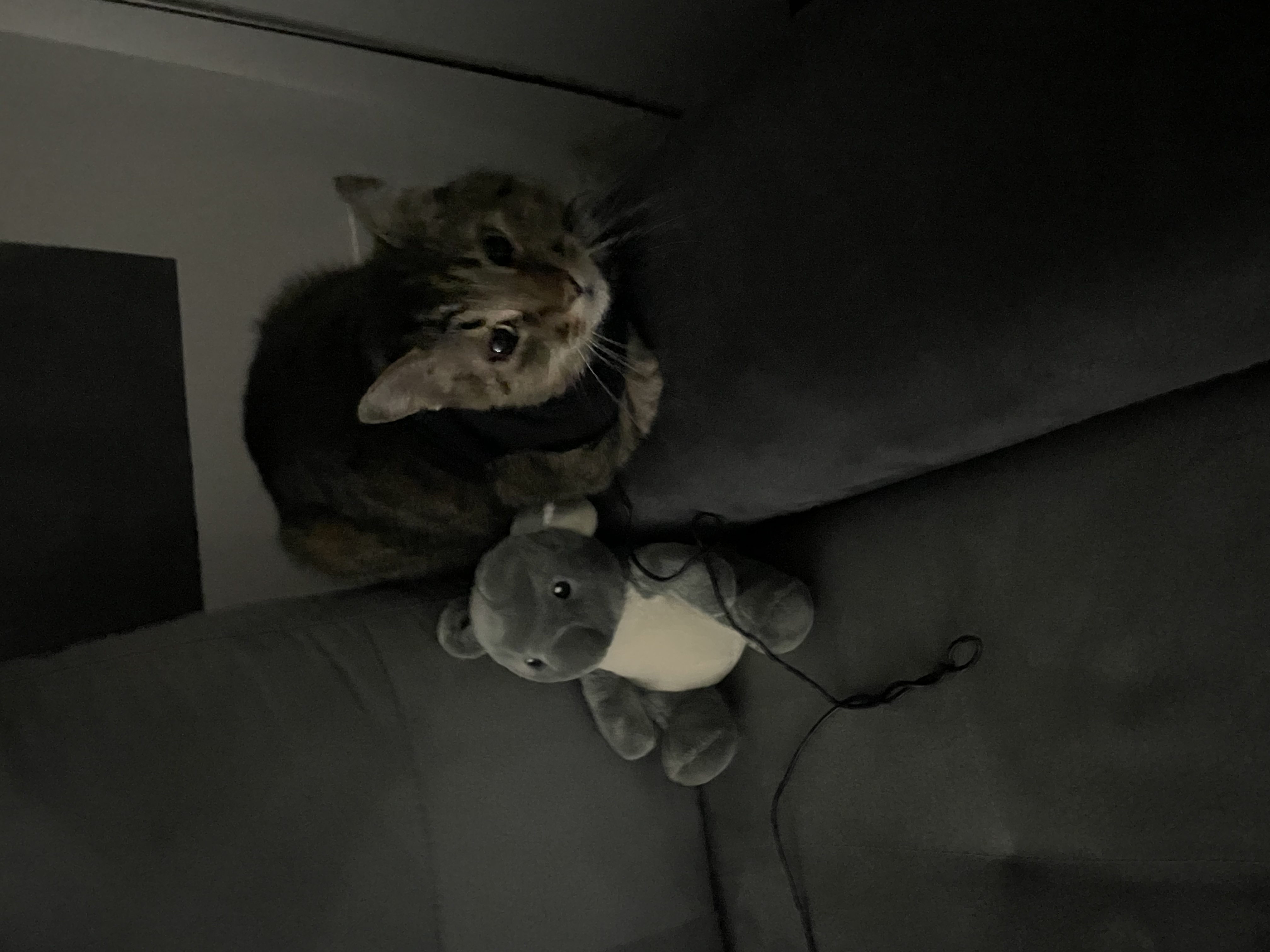 image-13