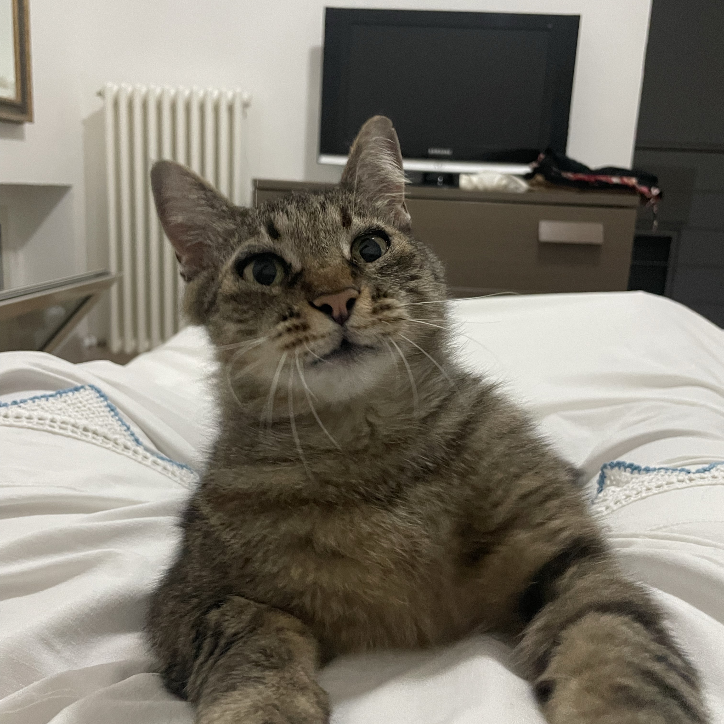 Leo