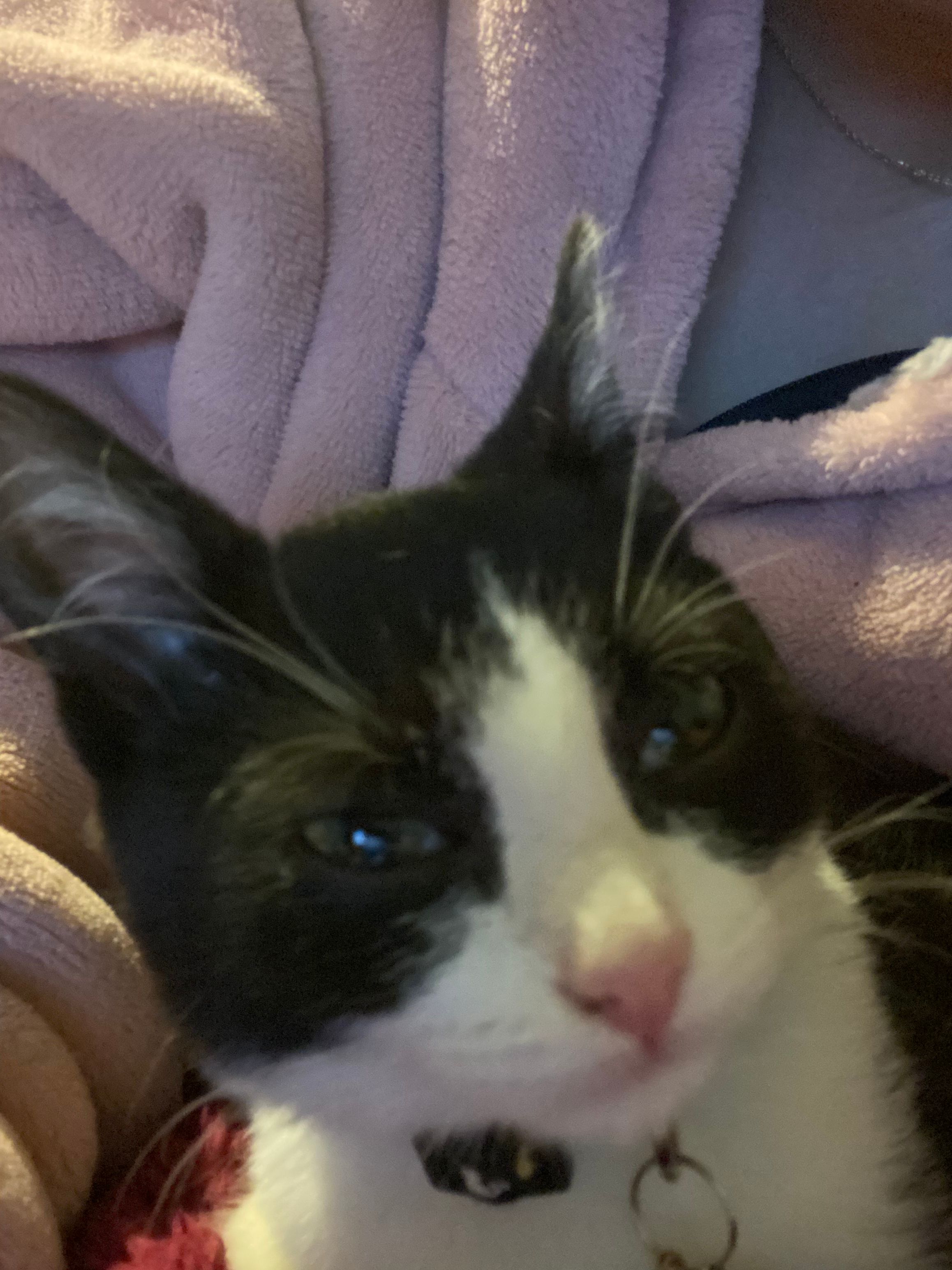 image-6