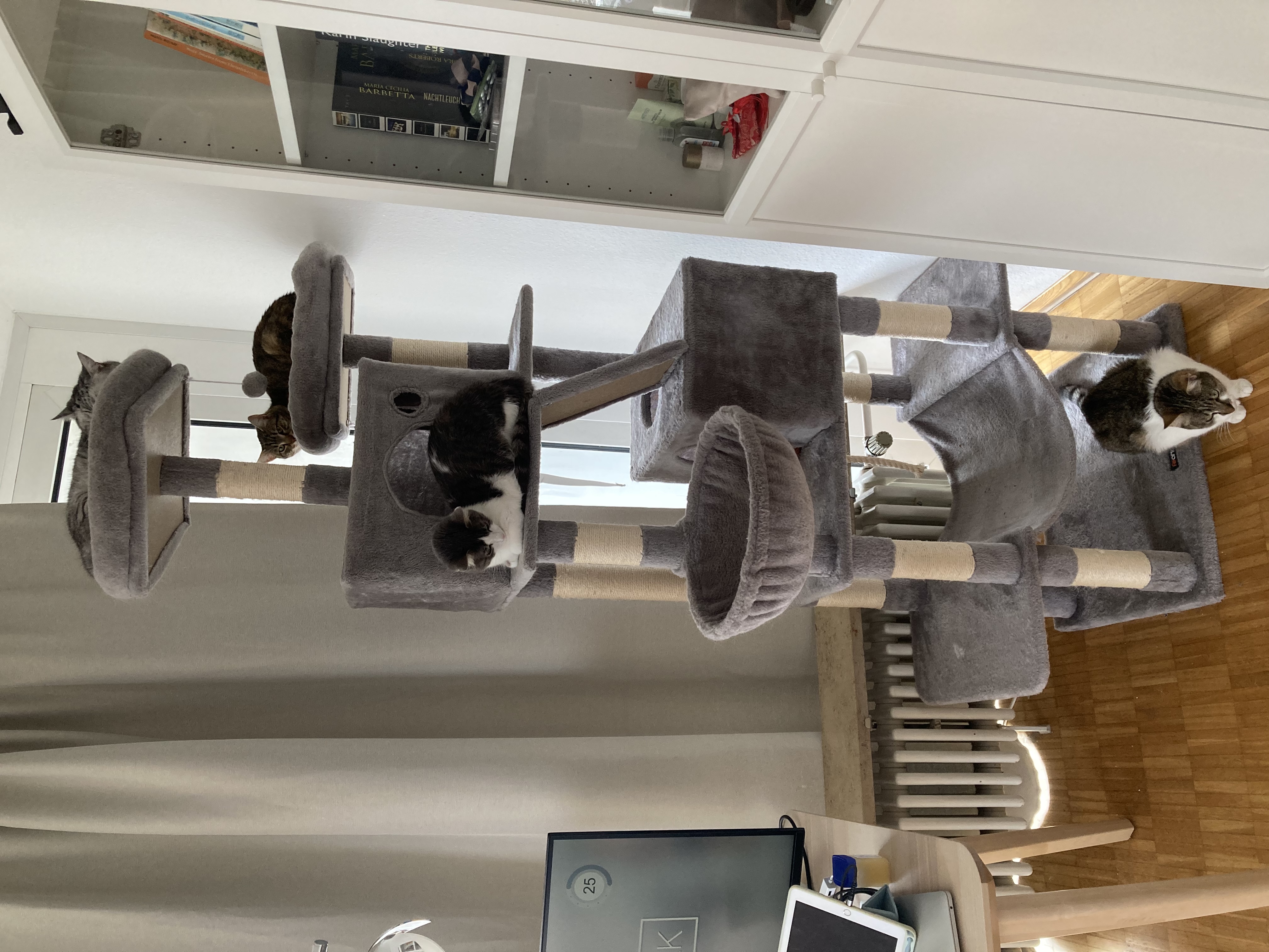 image-12