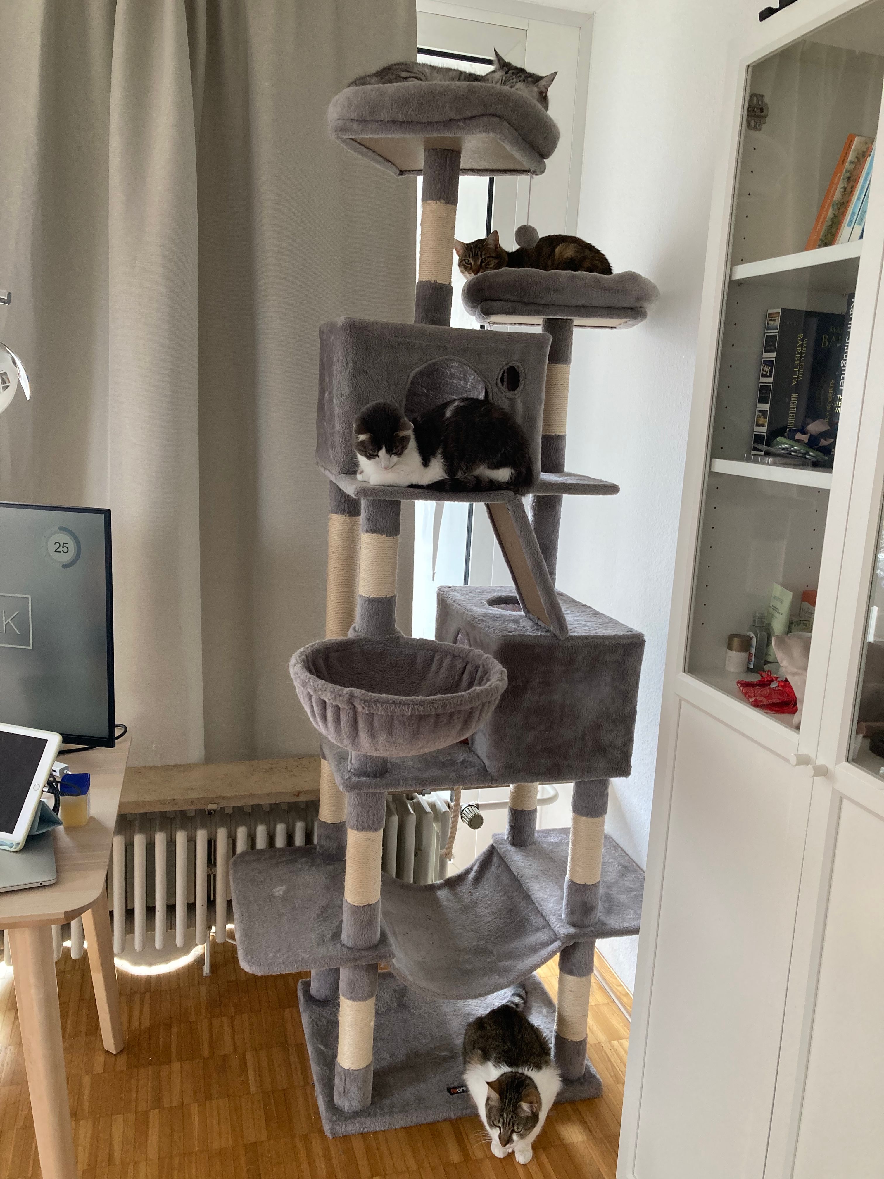 image-12
