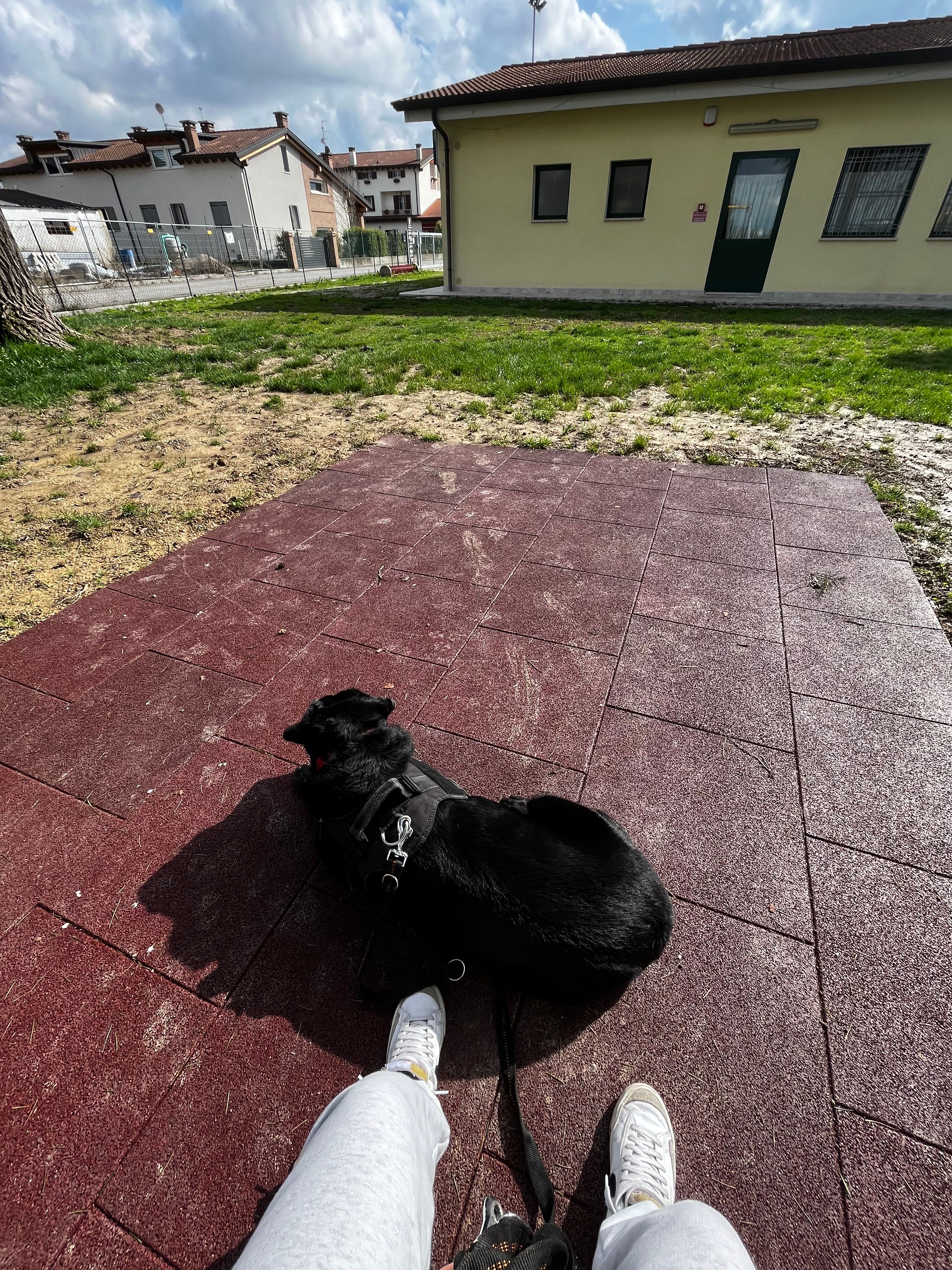 image-13