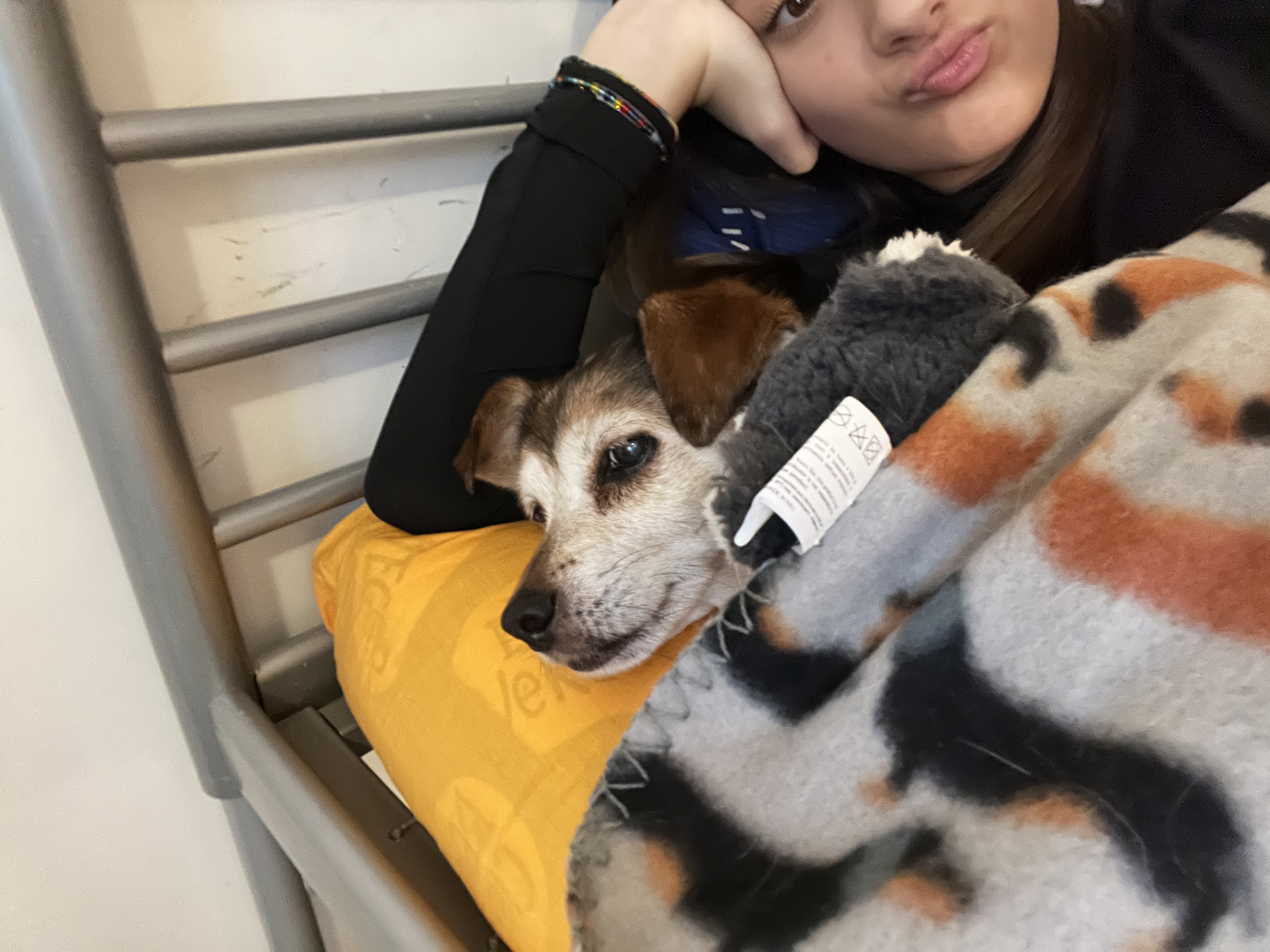 image-8
