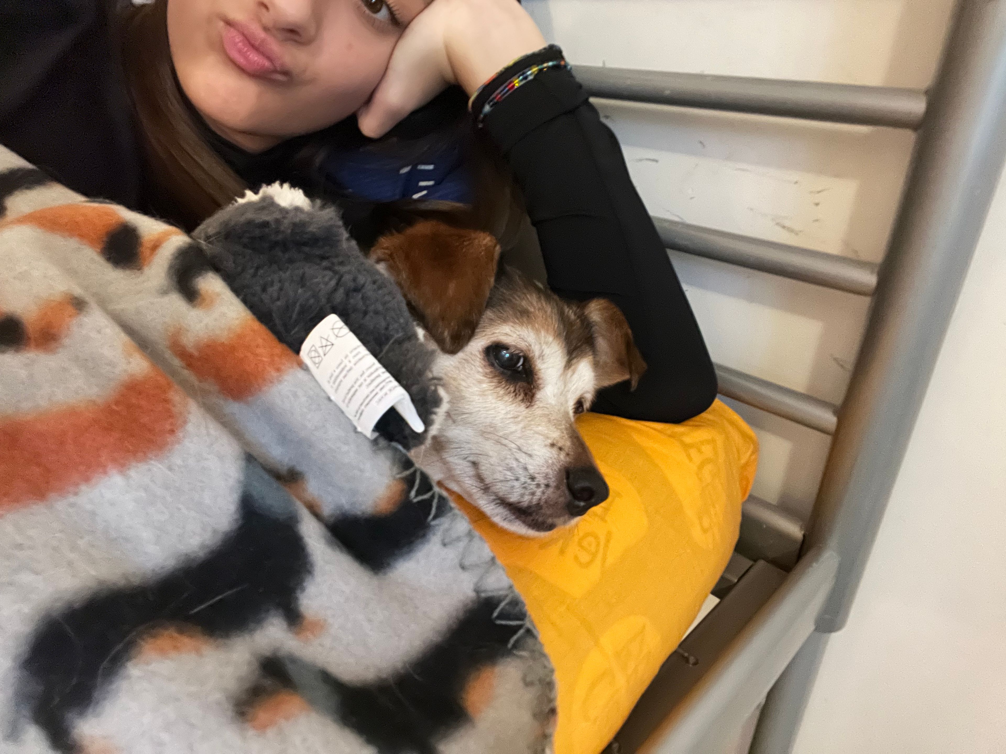 image-8