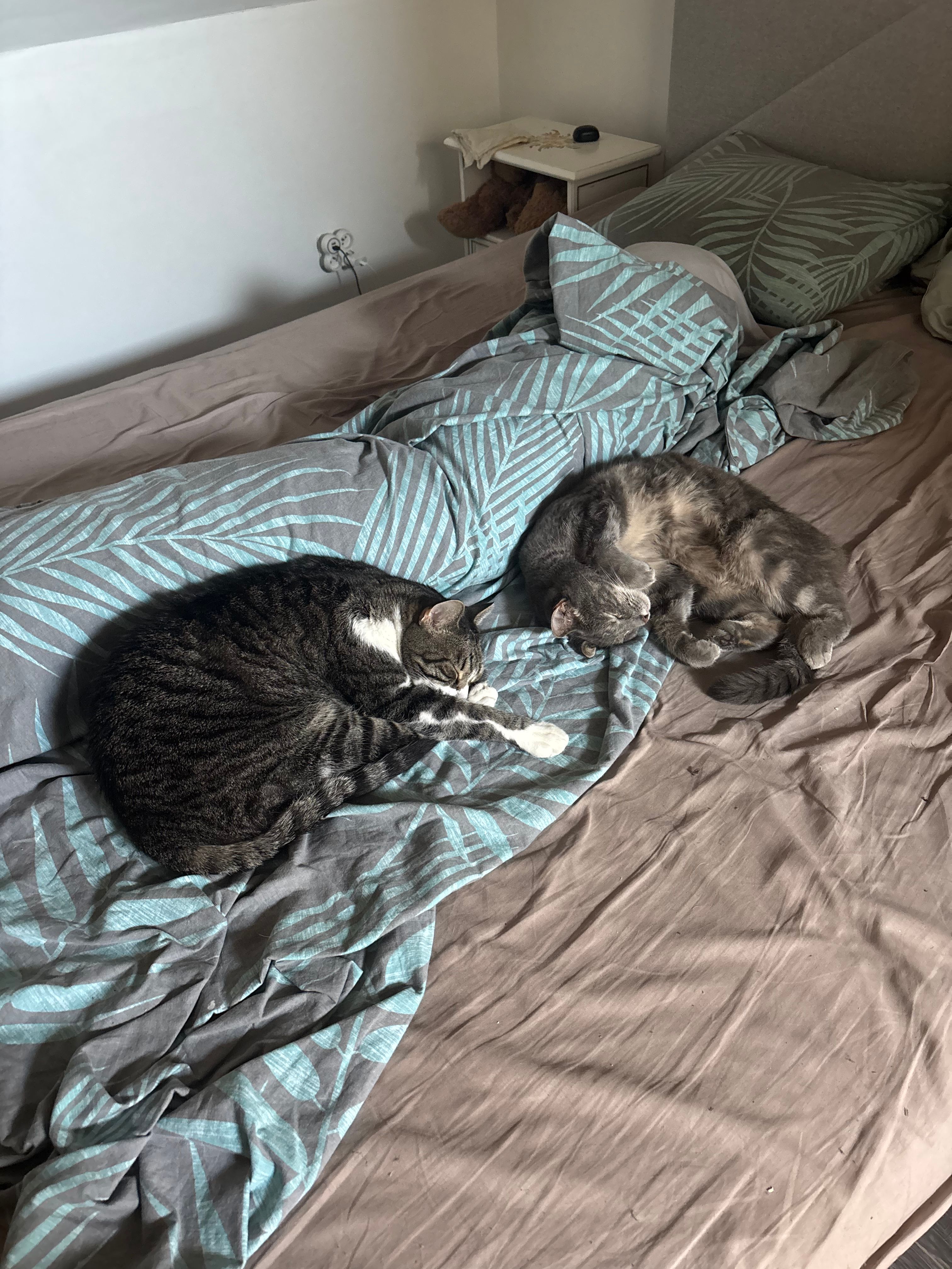 image-13