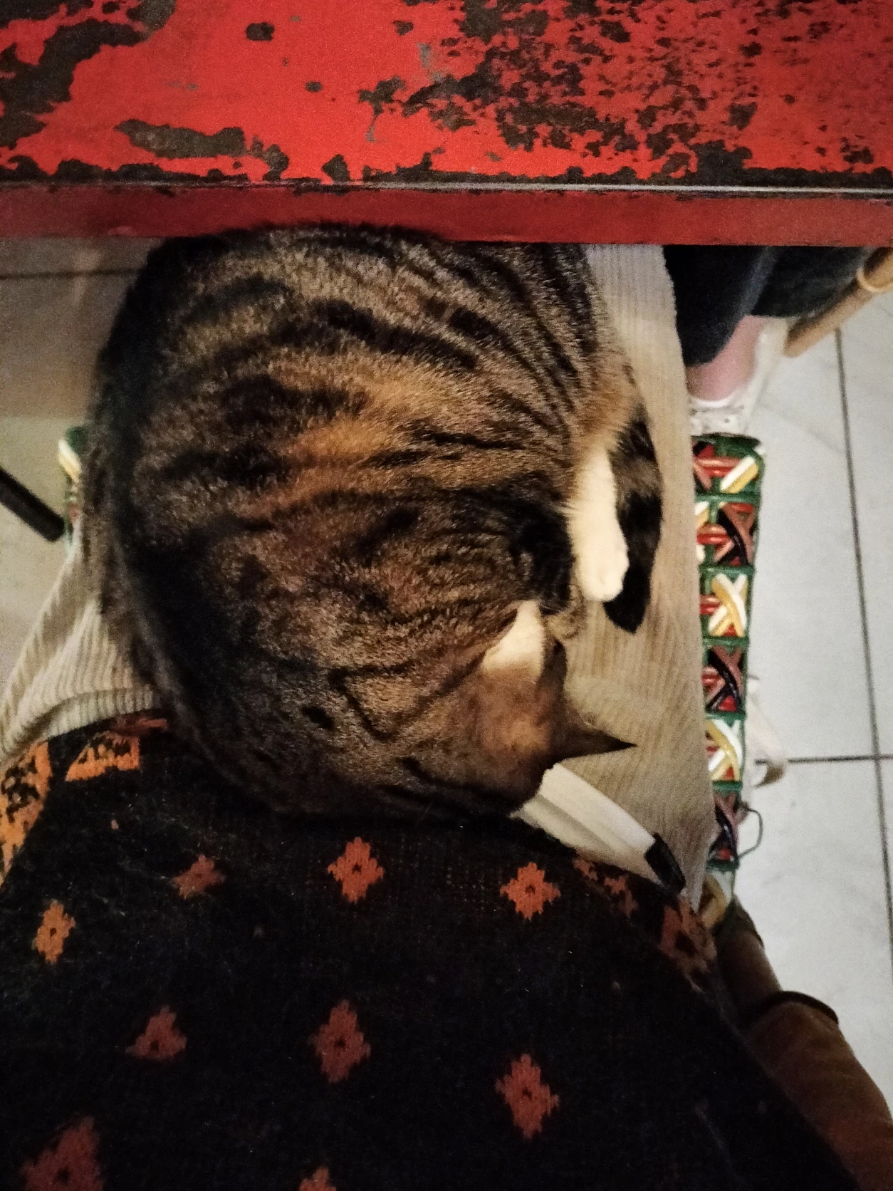 image-8