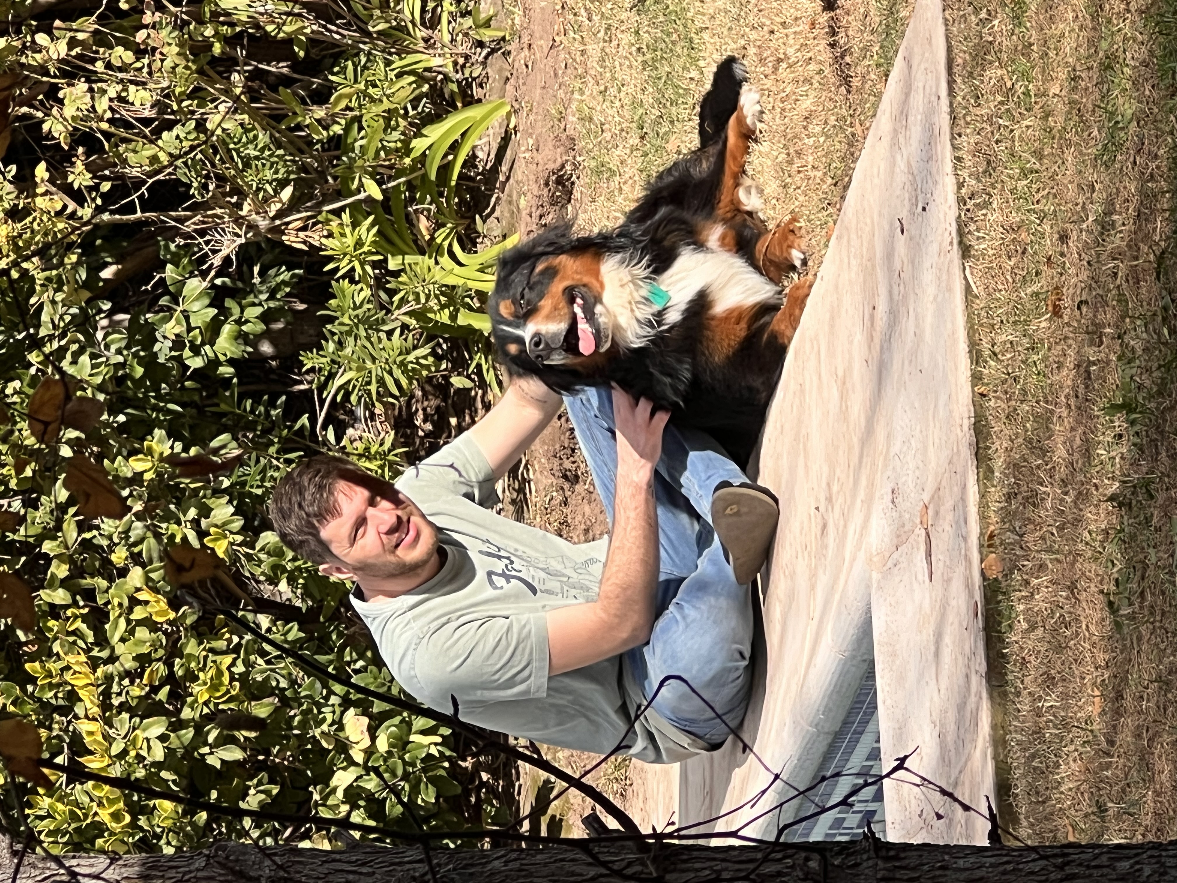 image-5