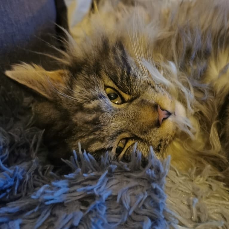 Ezio