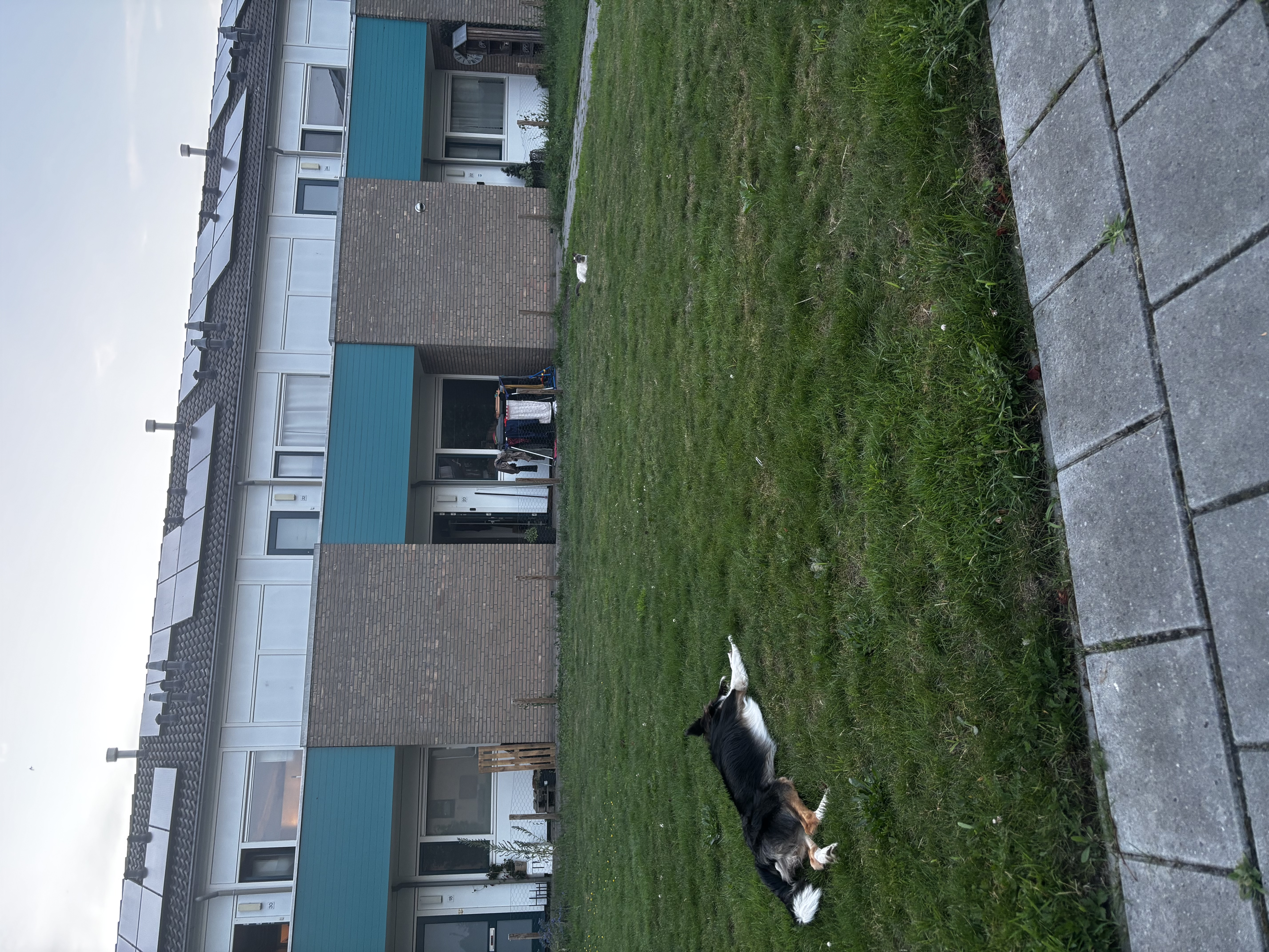 image-6
