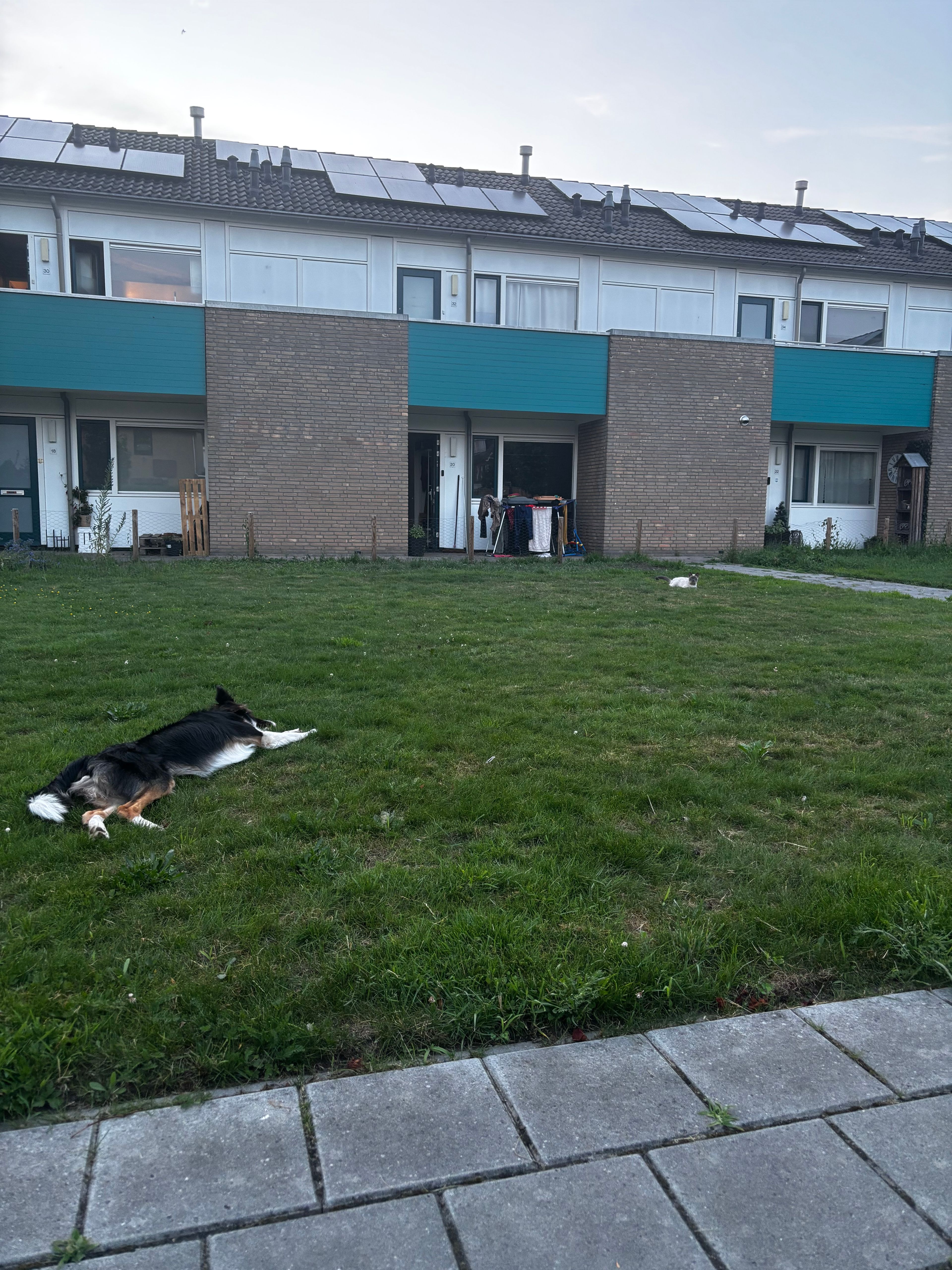 image-6
