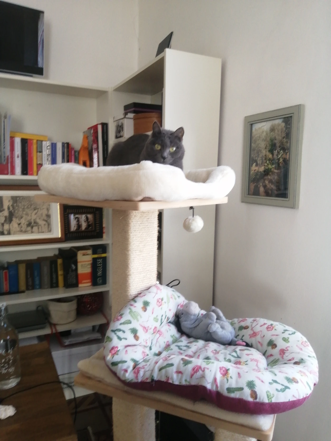 image-9