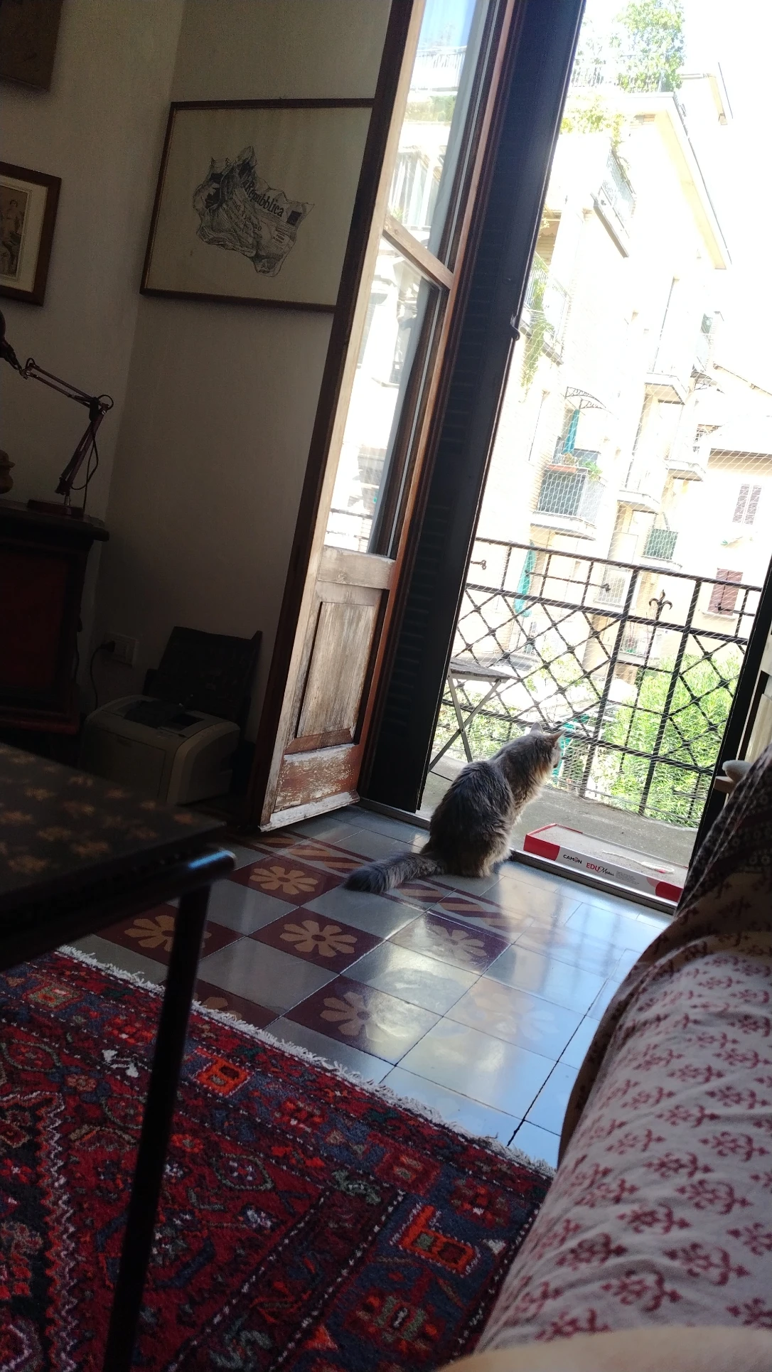 image-12
