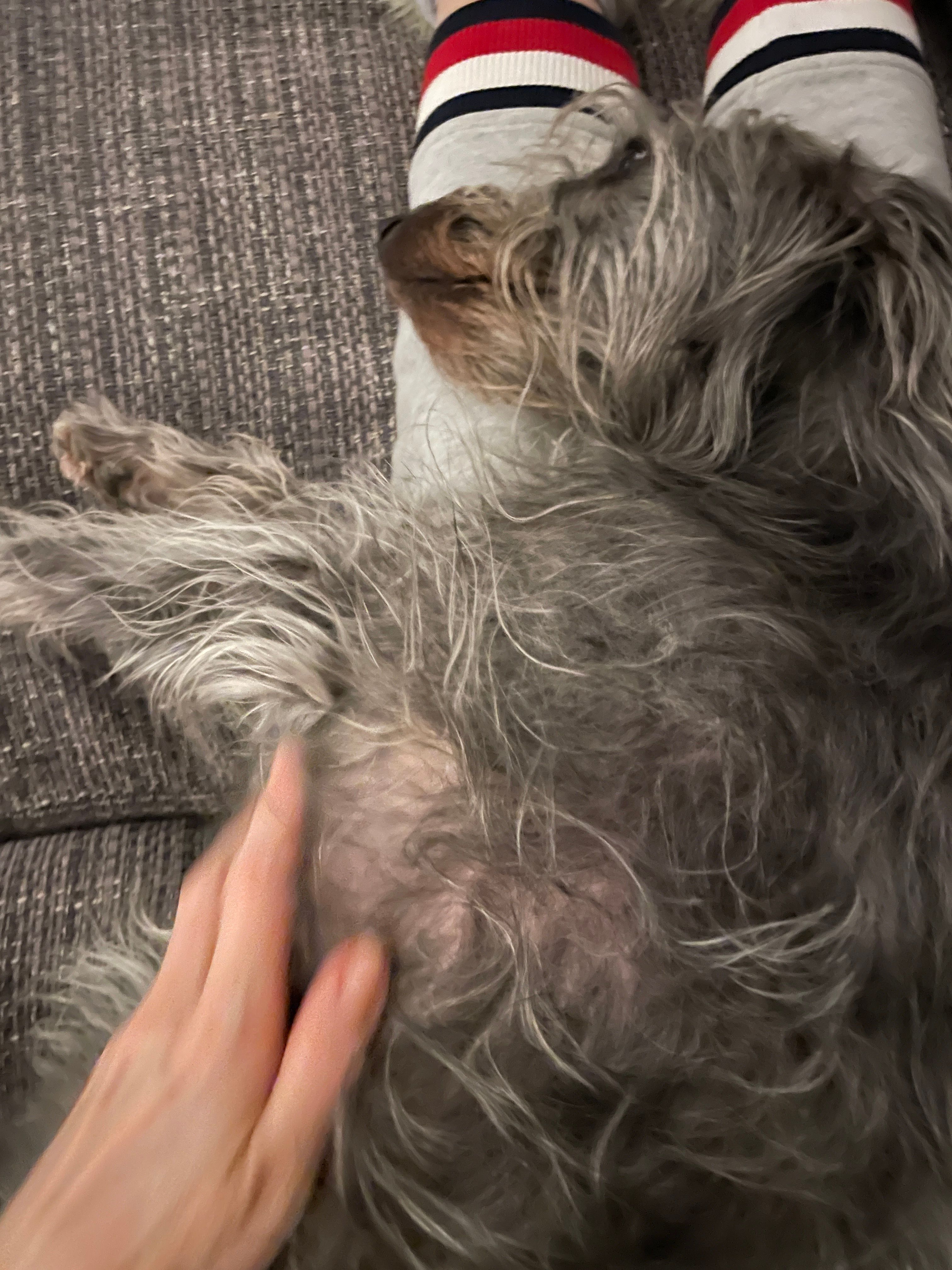 image-6