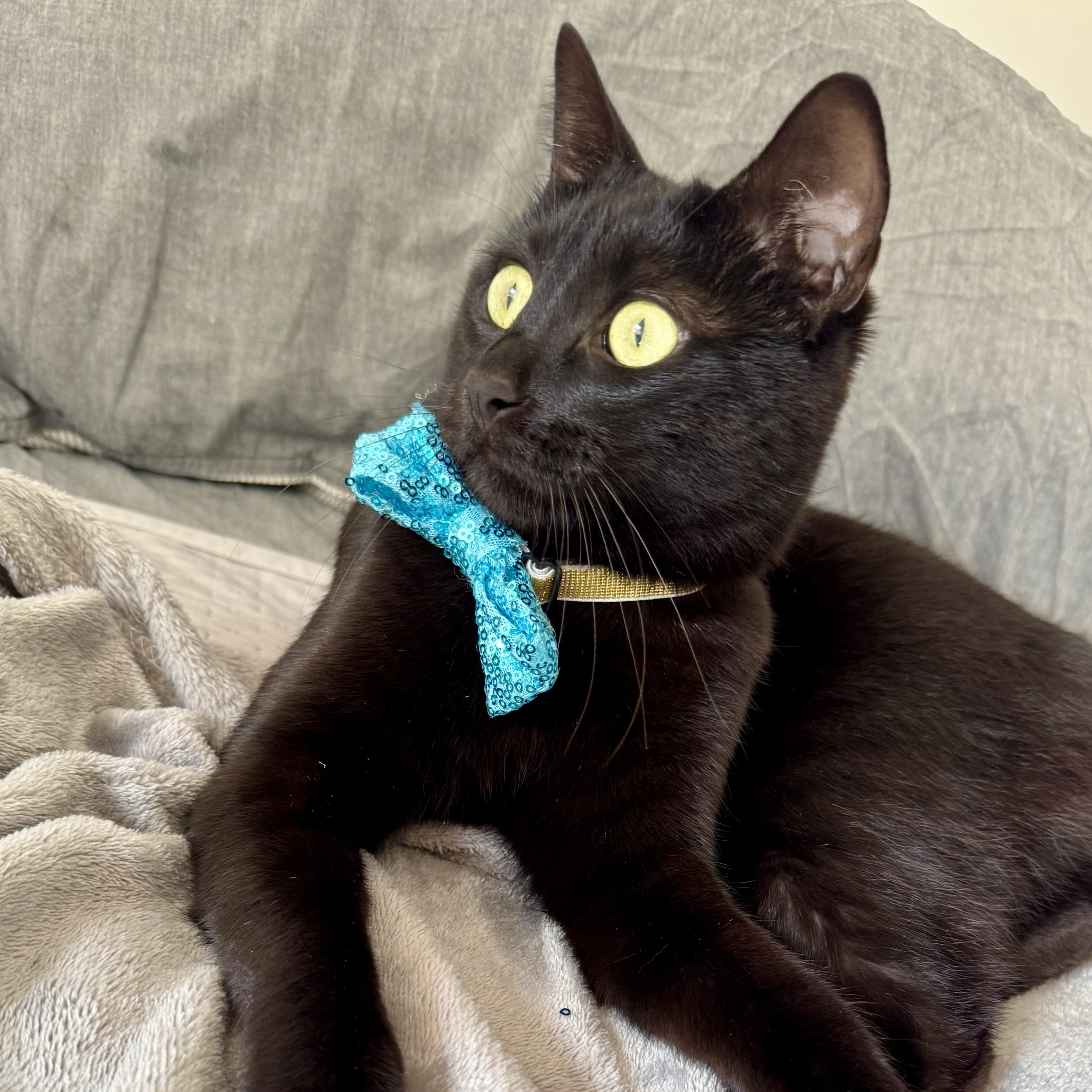 Salem