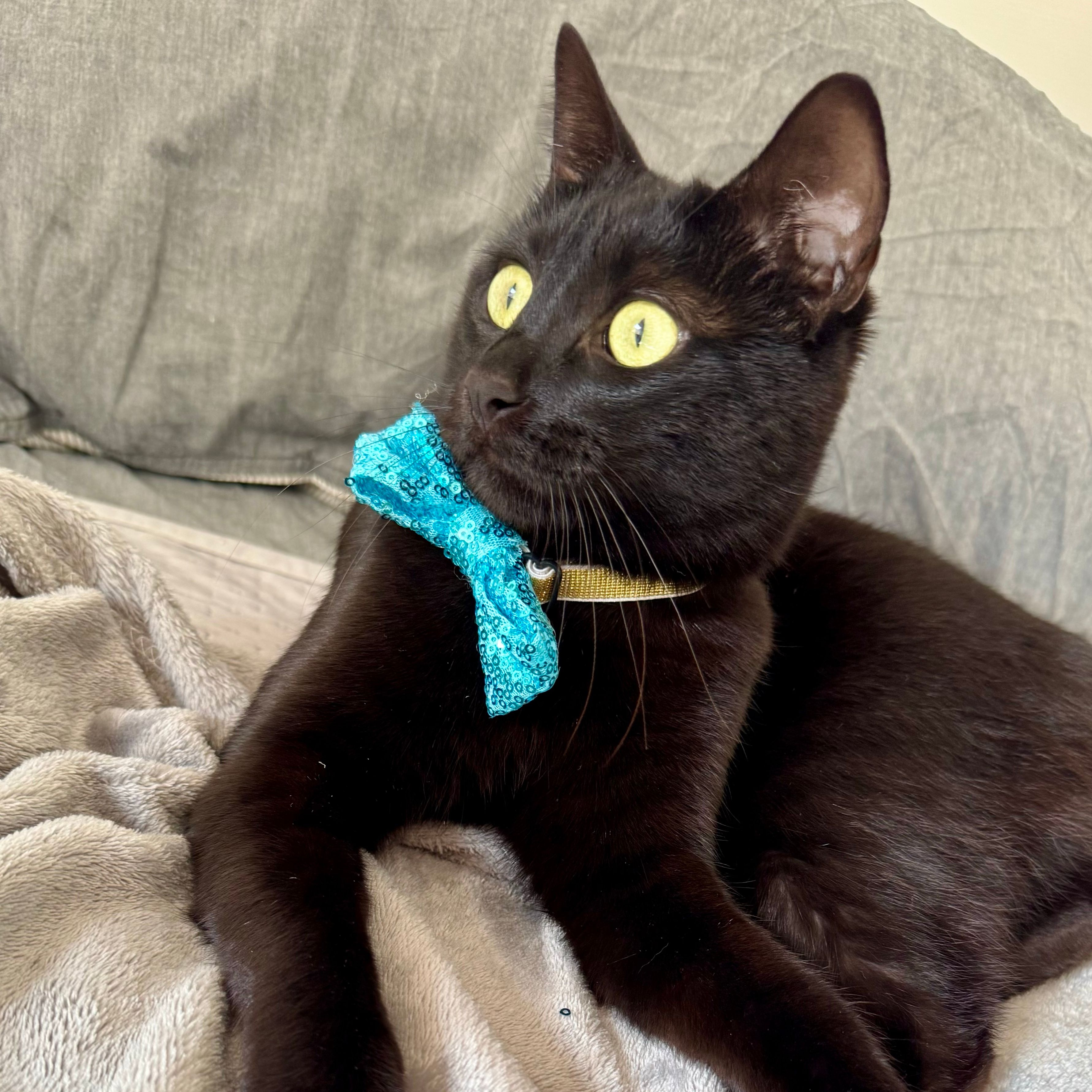 Salem