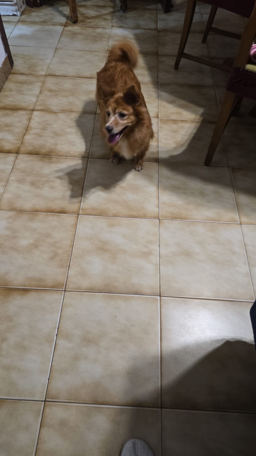 image-14