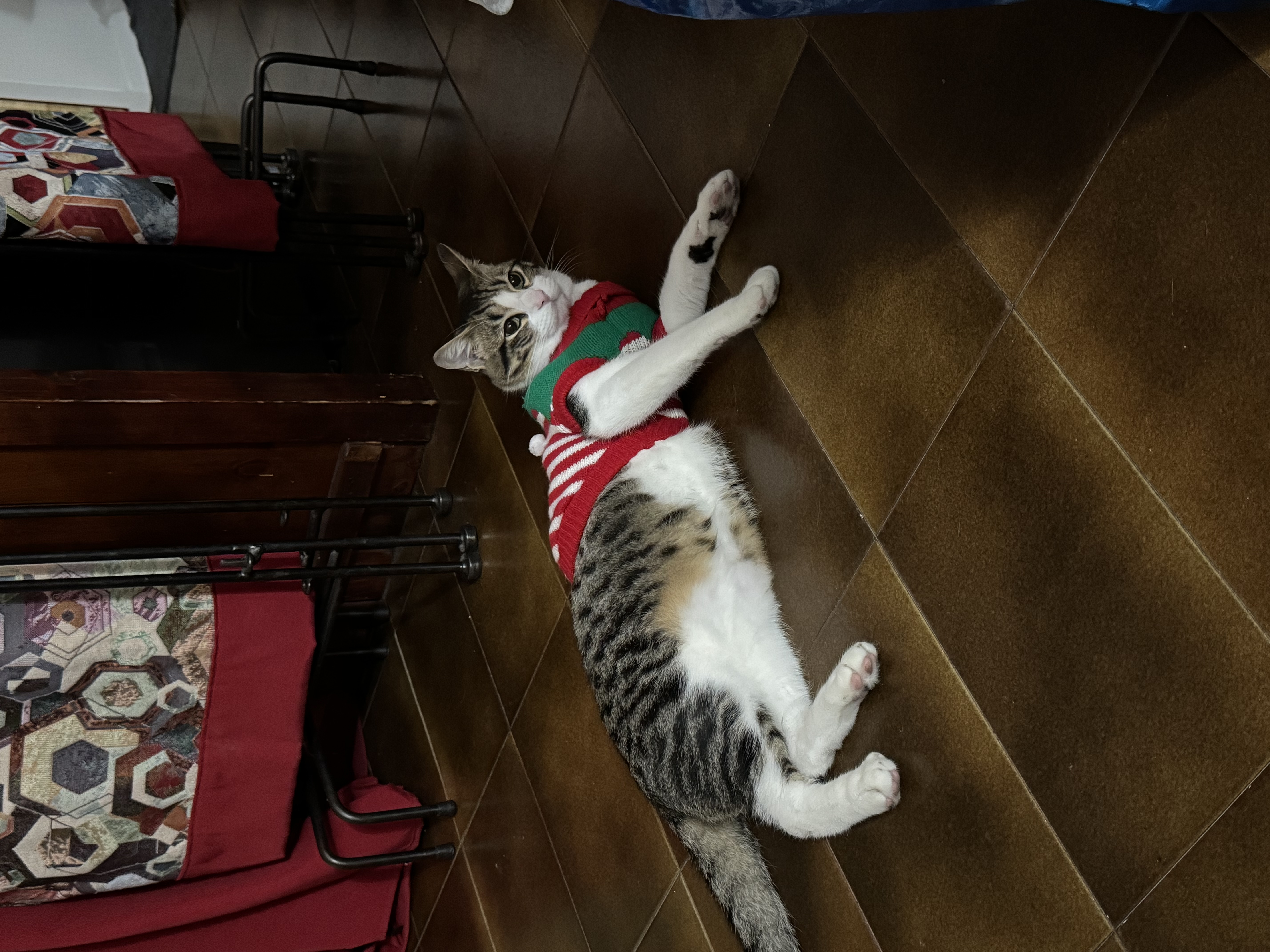 image-12