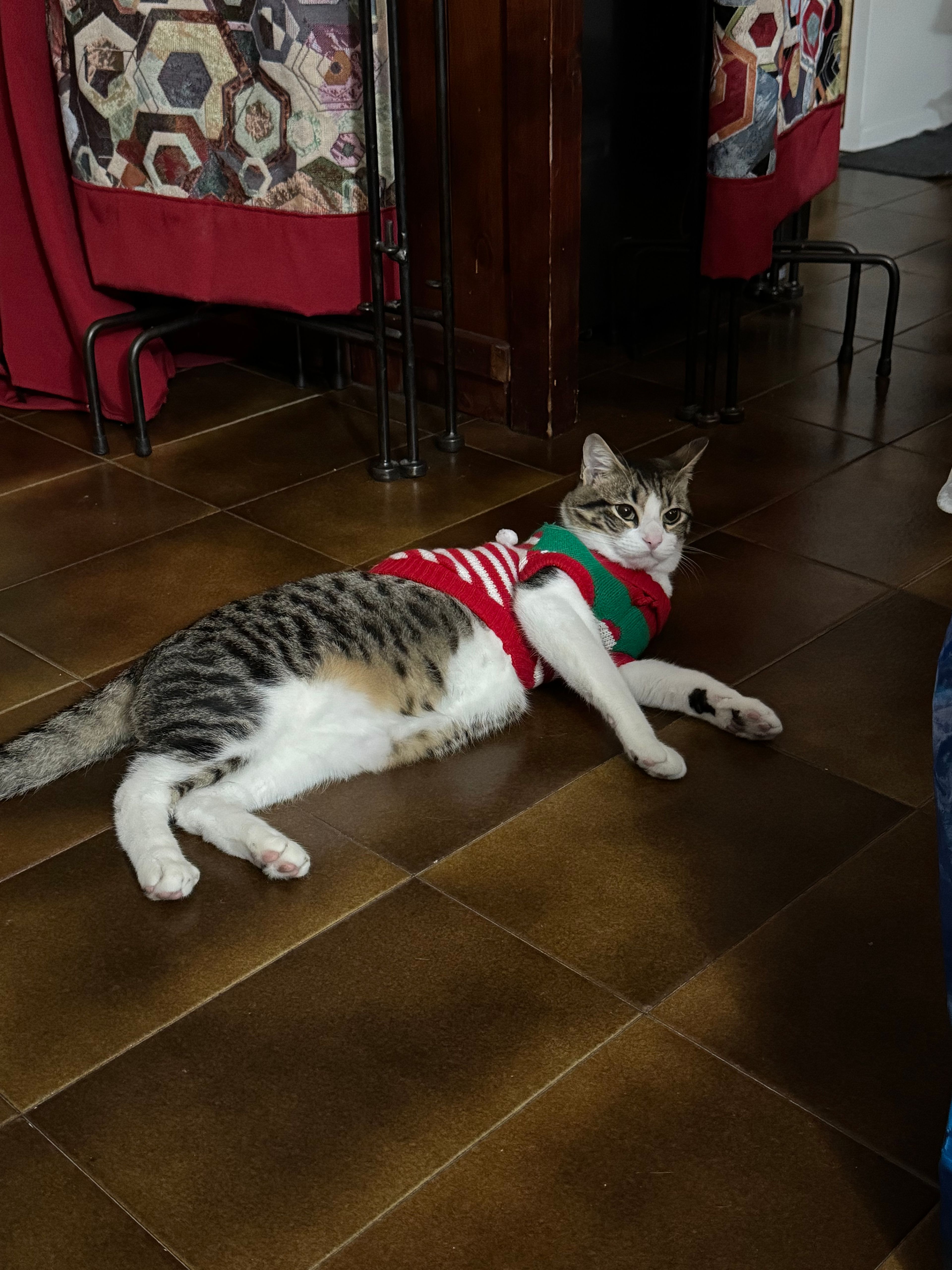 image-12