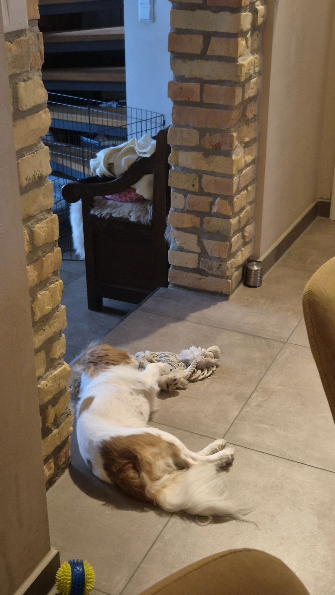 image-16