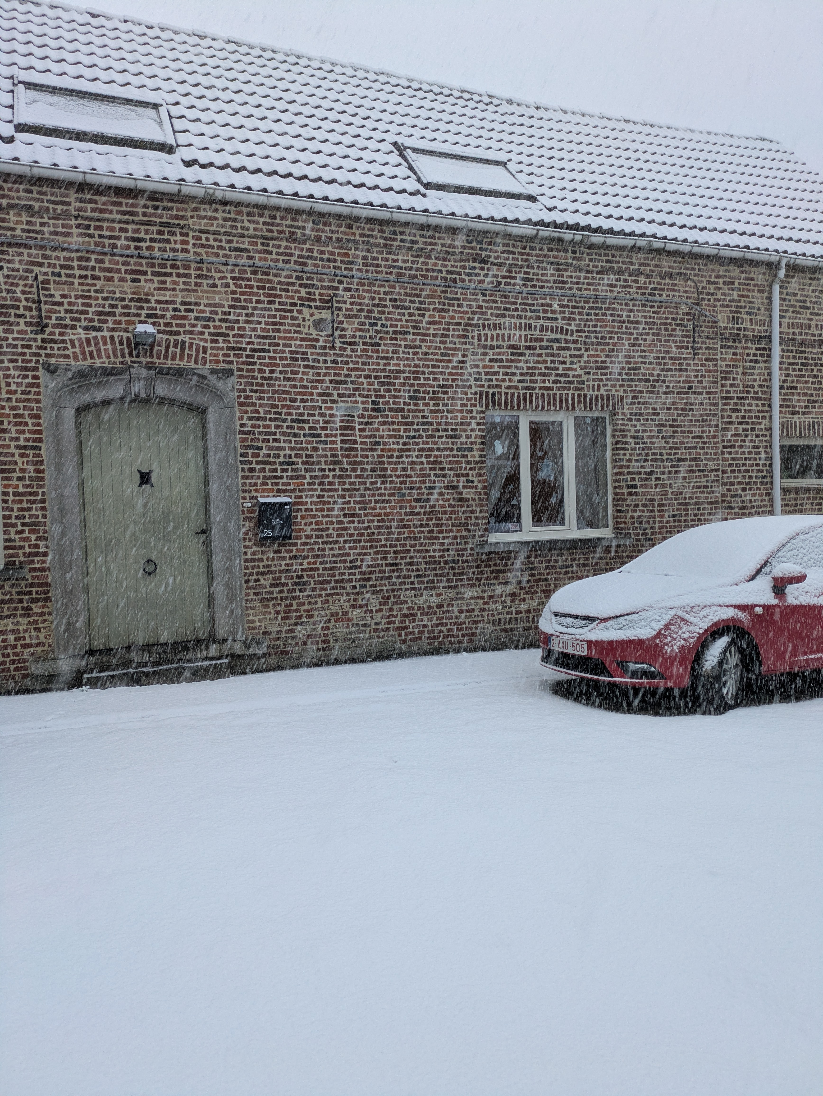 image-7