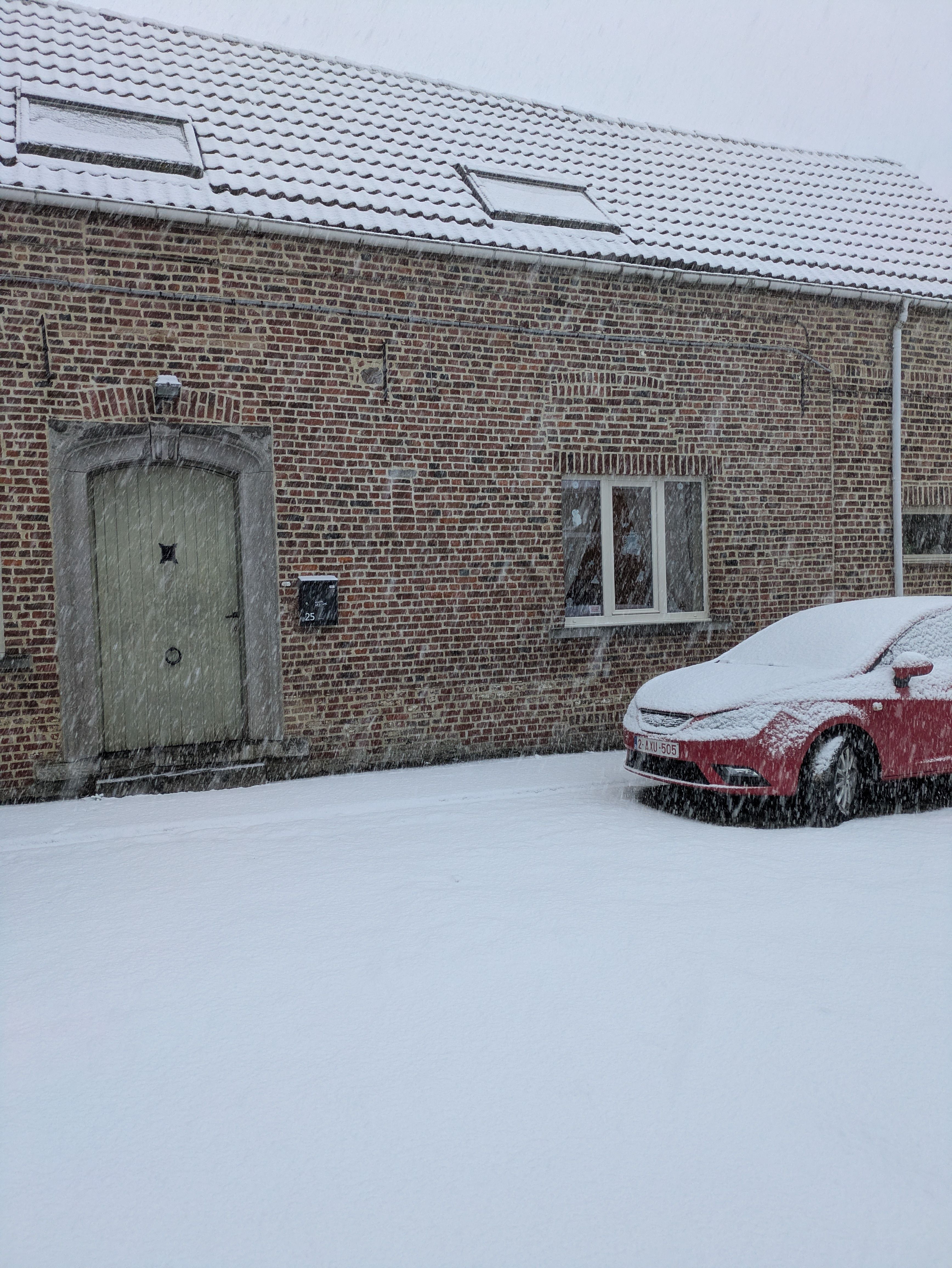image-7