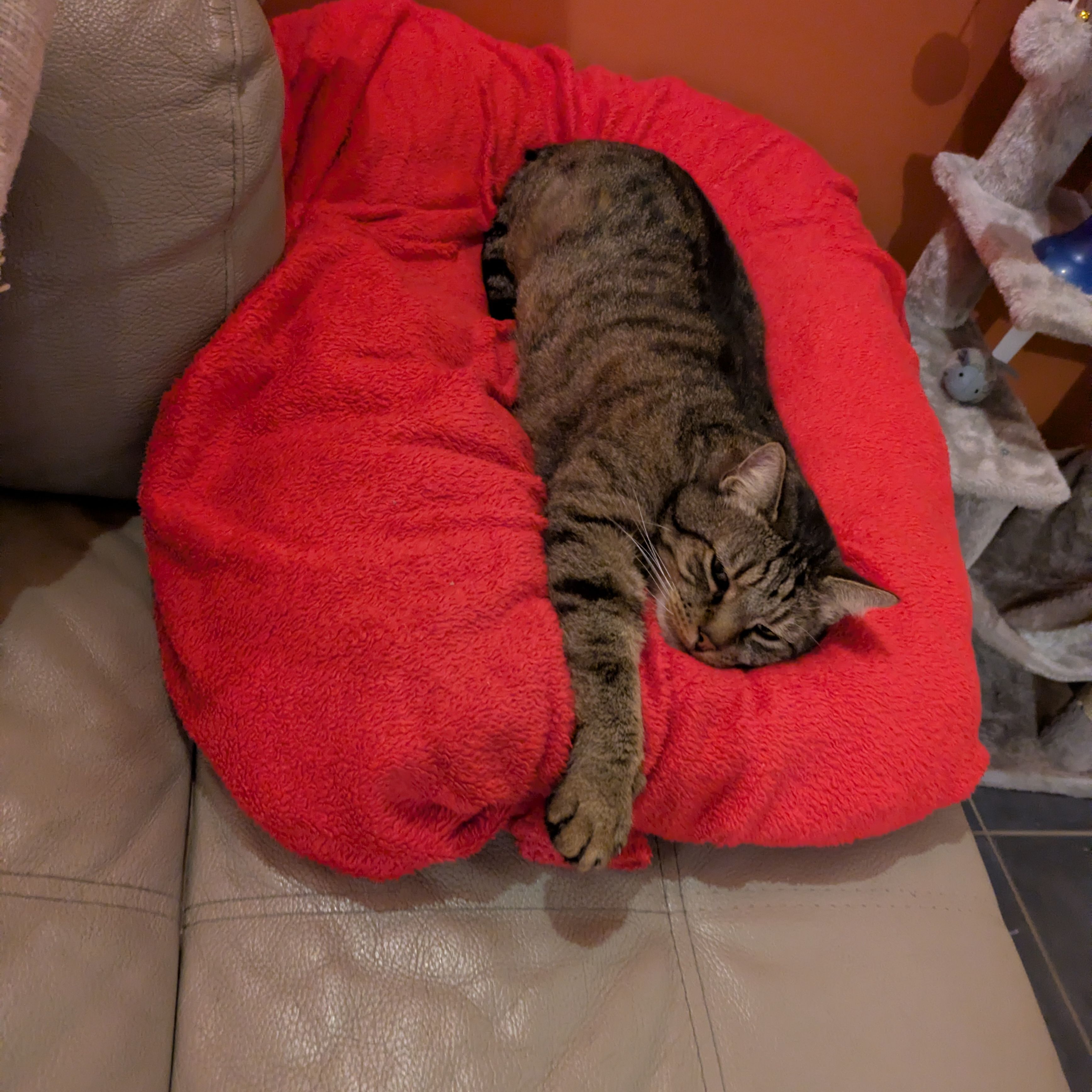 Tigrou