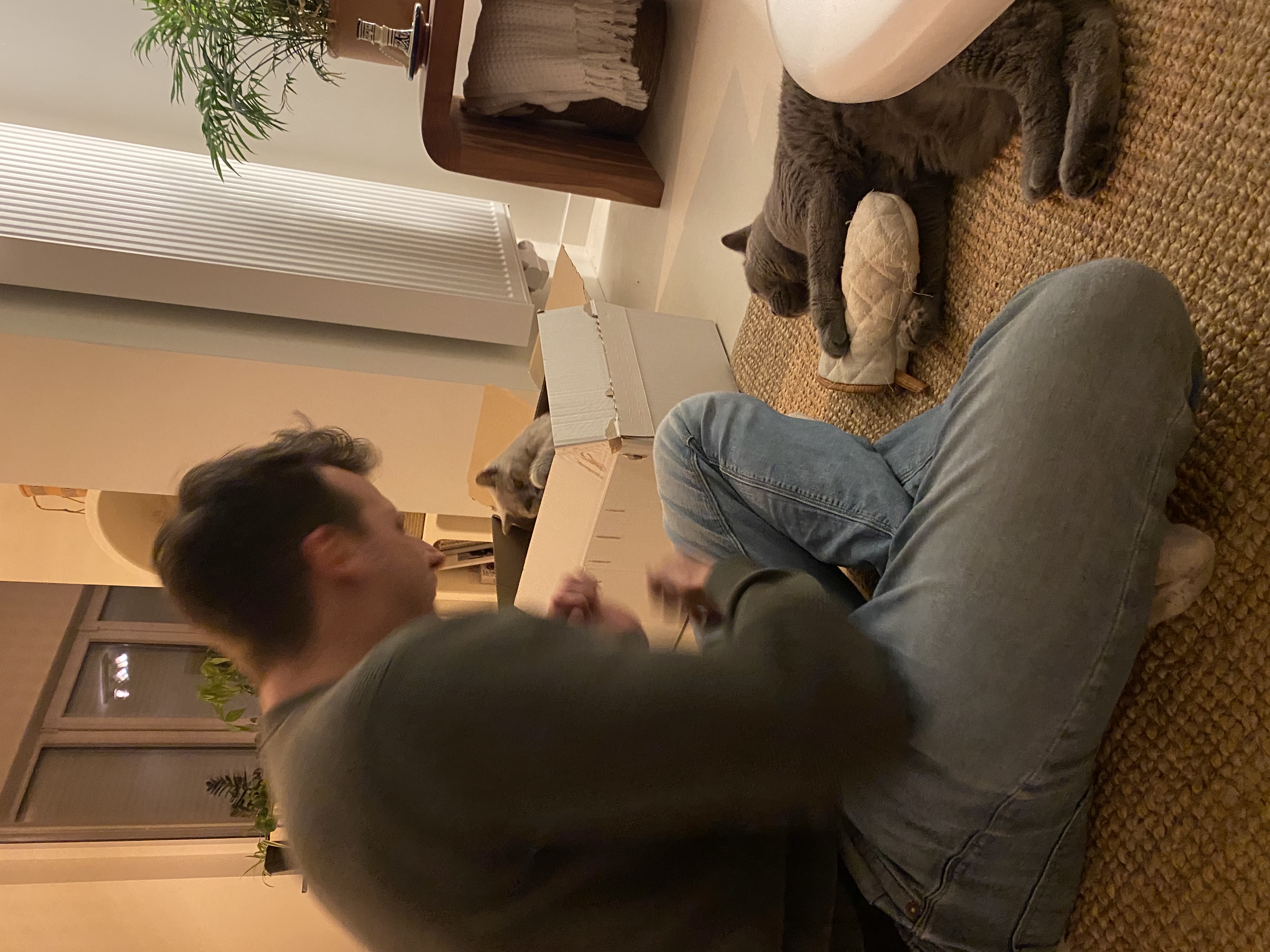 image-6