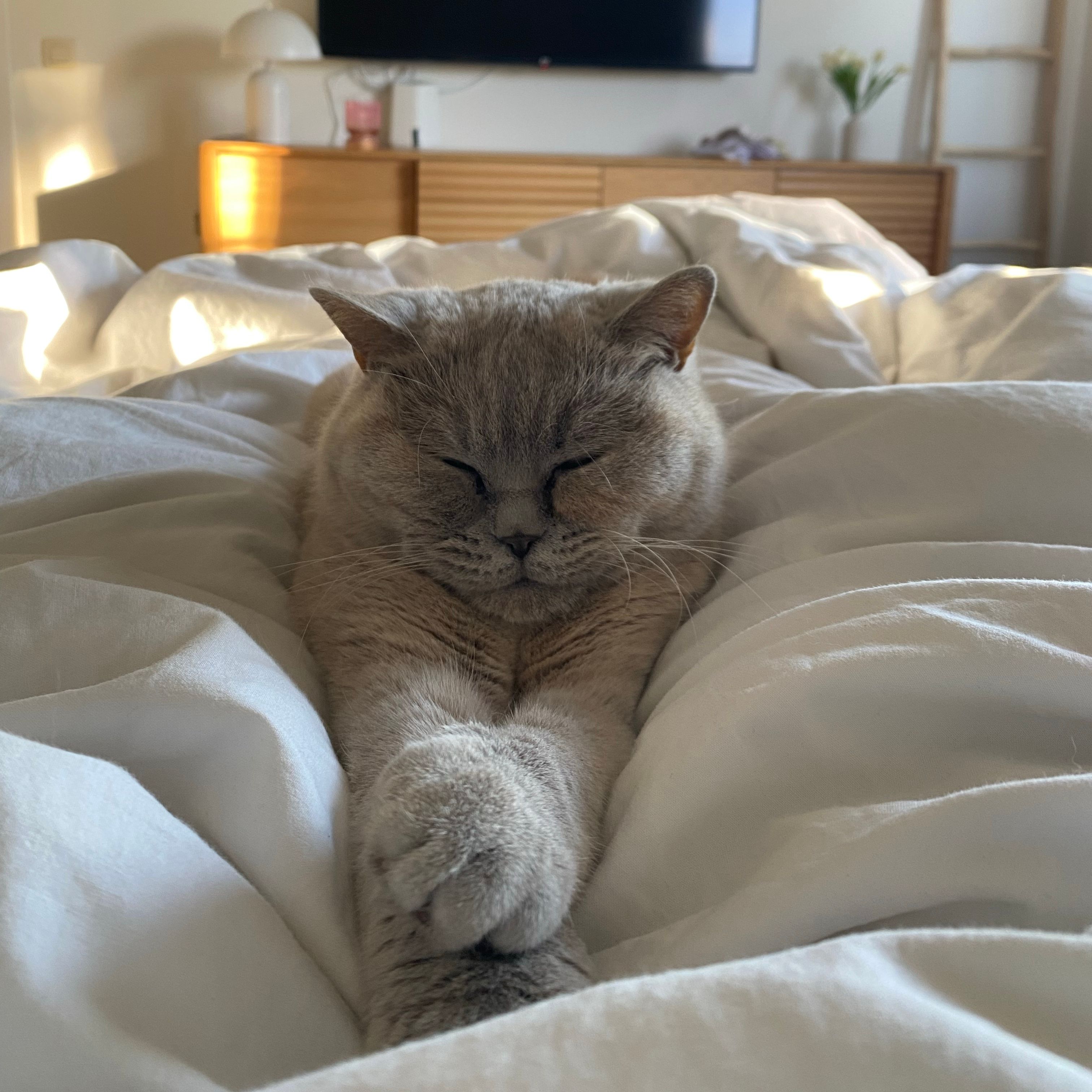Lucie