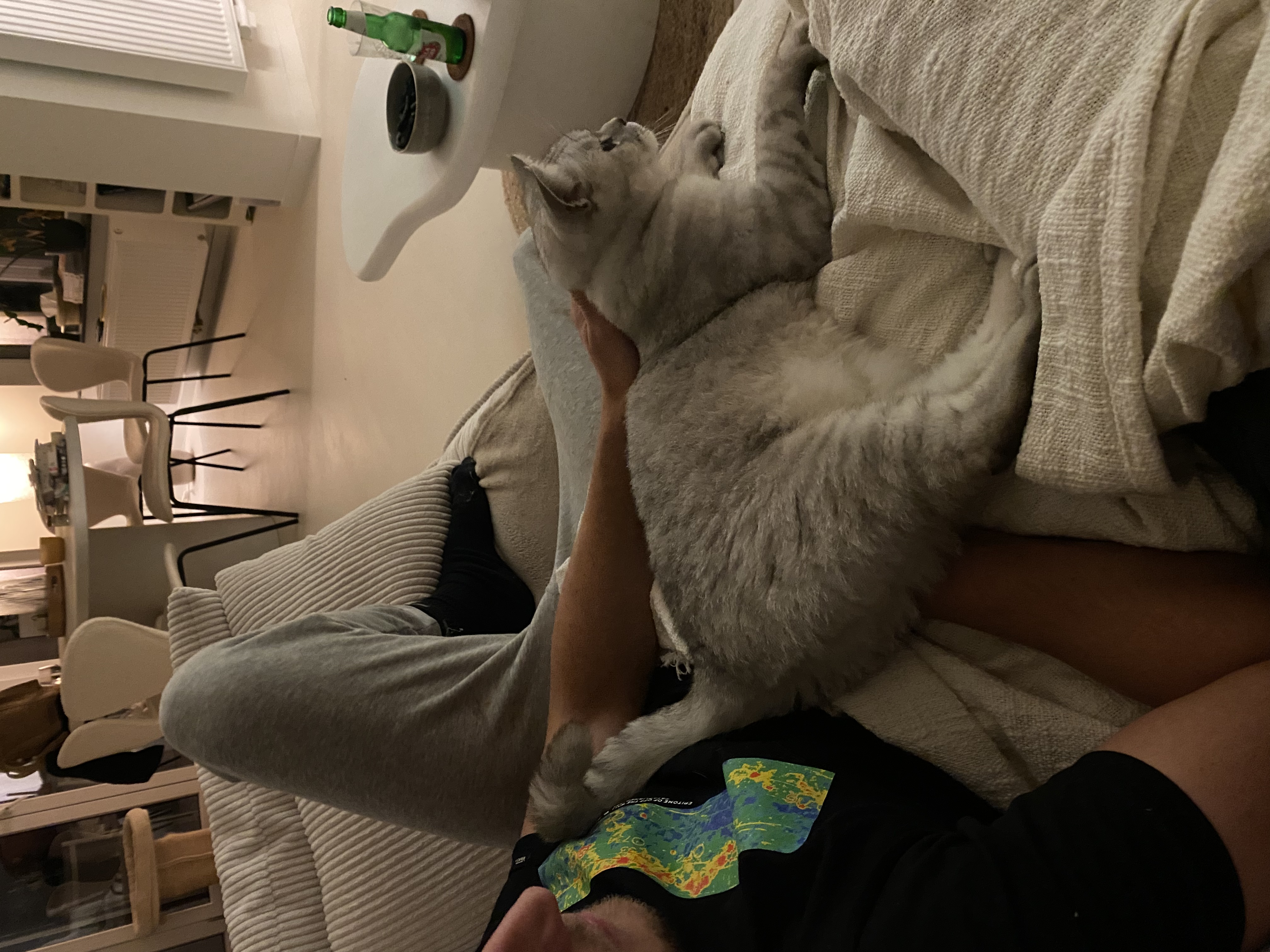 image-9